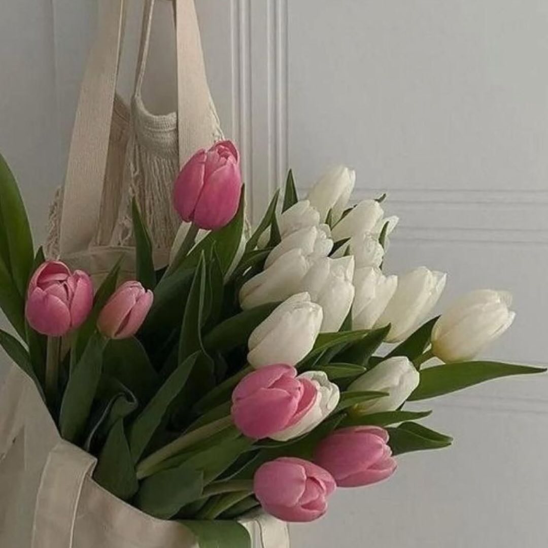 Happy Wednesday! 🌷
#SwipeRight for our latest quote of the day! Does the spring season give you a fresh perspective?
#exaltedmindandwellness #springbeauty #renewal #gratefulheart