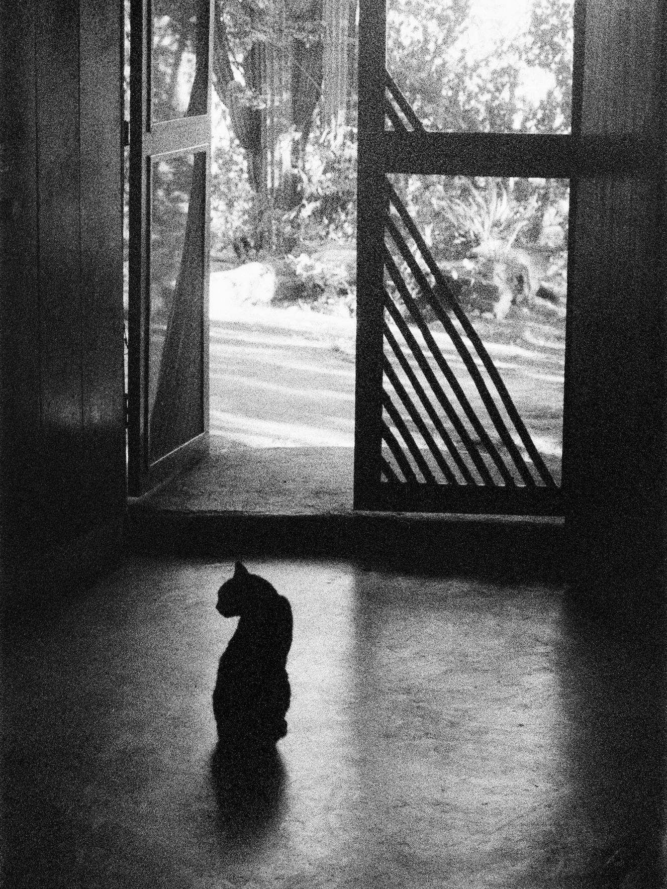 from ‘Totem’ book @equator