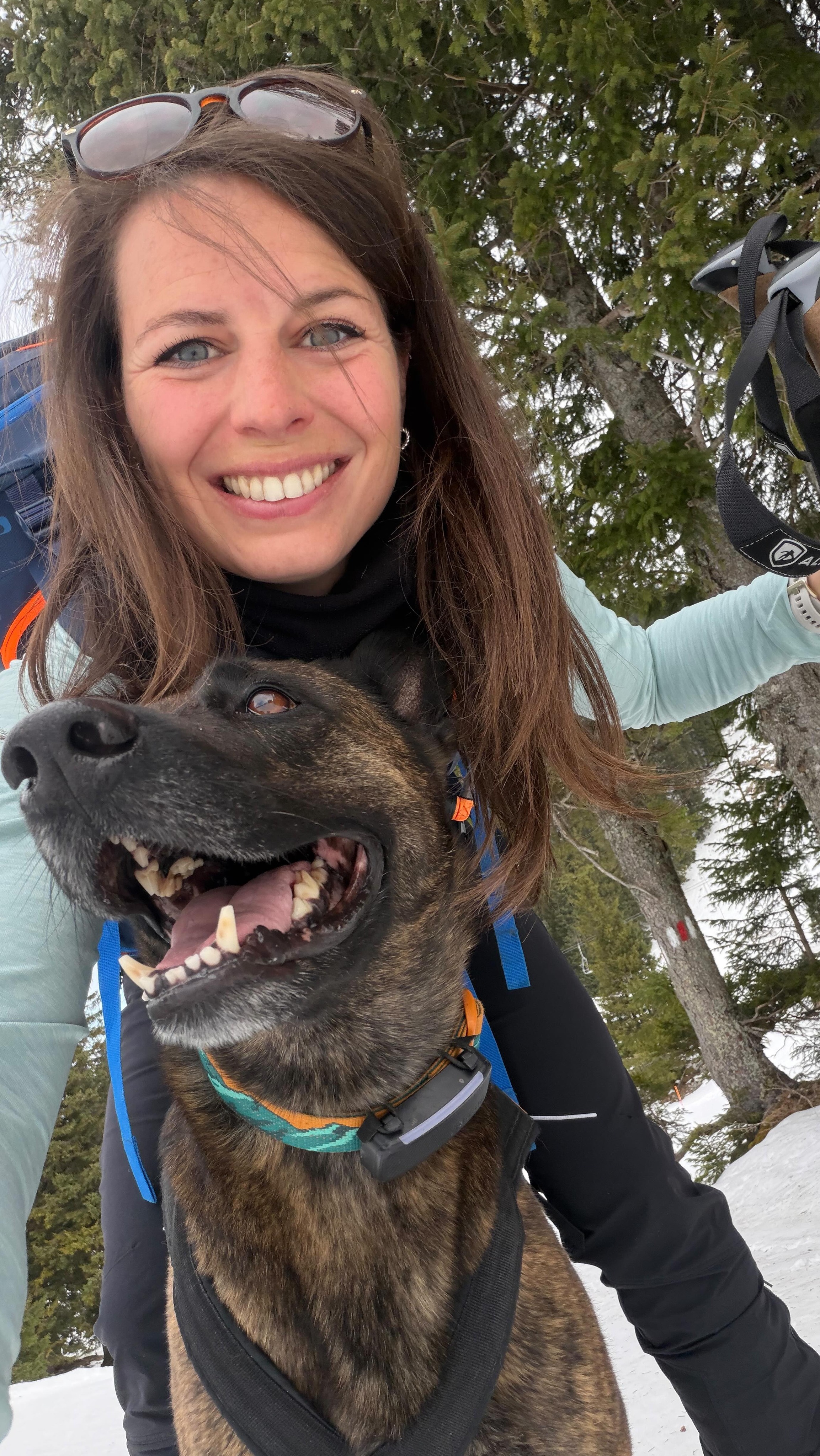 Letzte Skitour der Saison? 🥹 Wer weiß, aber wenn, dann wars der perfekte Abschluss mit meiner Raketen-Dolly 🫶🏼🚀 #skitour #dolly #hochkar