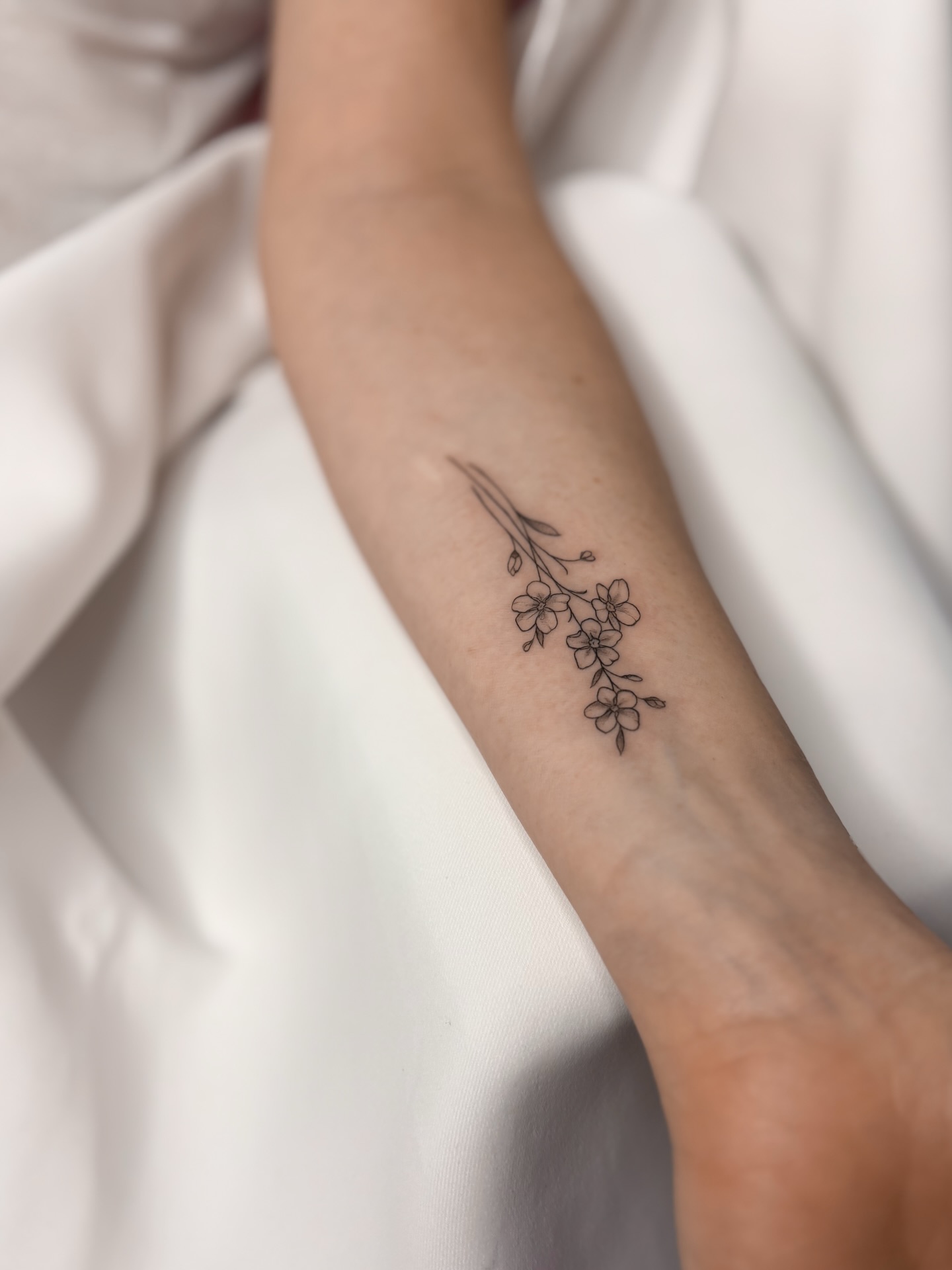 Fancy a new little tattoo? I think it’s time to get one! 💕
I’m happy to announce that I’ll be tattooing again very soon and you can now book with me in València ✨
More details coming soon!
Drop me a message if you’d like to book in 🌸
#tattoovalencia #valenciatattoo #femininetattoos #gentletattoos #tinytattoos