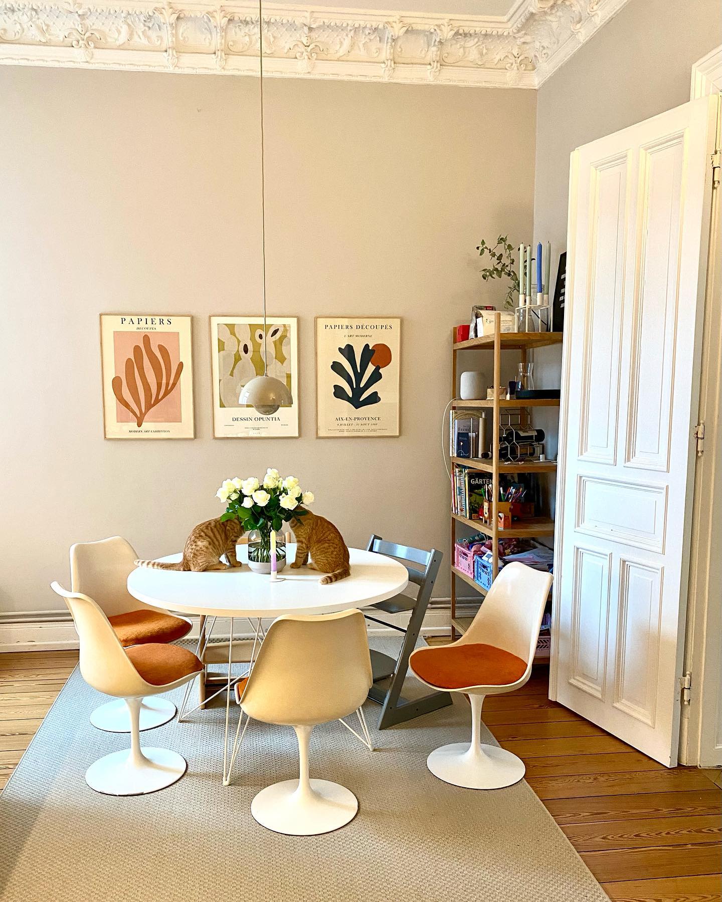 Das war eigentlich nicht so gedacht🐈😳
#altbauliebe #katzen #interiordesign #printdesign #freshflowers #grafikdesign #inneneinrichtung #kitchen #interior