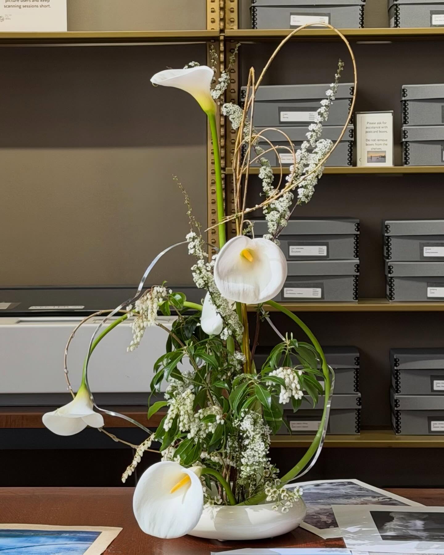 Local callas, andromeda, spirea, French willow, and my fav aluminum ribbon 🪄
Part of a series of floral arrangements inspired by folders at the @nyplpicturecollection
Referencing:
📁 Smoke
📁 Modern Dance
📁 Nets
📁 Fountains
📁 Water — Action
📁 Rope