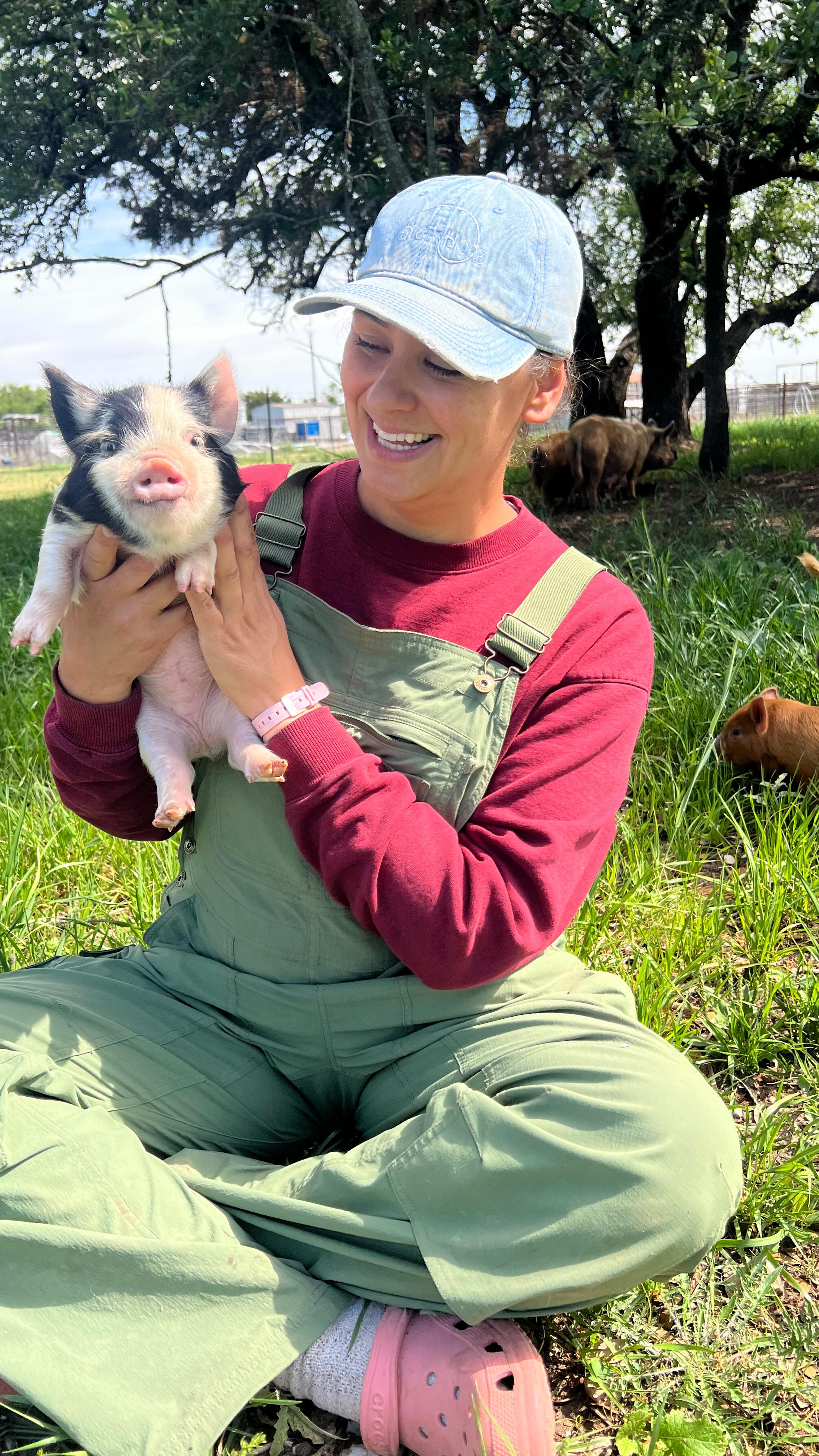 A quick reprieve in the pasture with the piglets.
We sowed a mixture of alfalfa, purple top turnips, rye, spring wheat, clover, and more about two months ago. This pasture had been grazed down to the dirt due both to drought but also to eliminate some of the plants we didn’t want growing there. Now it’s a lush mix of natives and pasture, we also incorporated all of our expired seed packets and found a few collard greens poking up through the grasses. This will all eventually turn into delicious pasture raised pork of the highest quality! We’re grateful to be able to provide this kind of life for our animals :)
