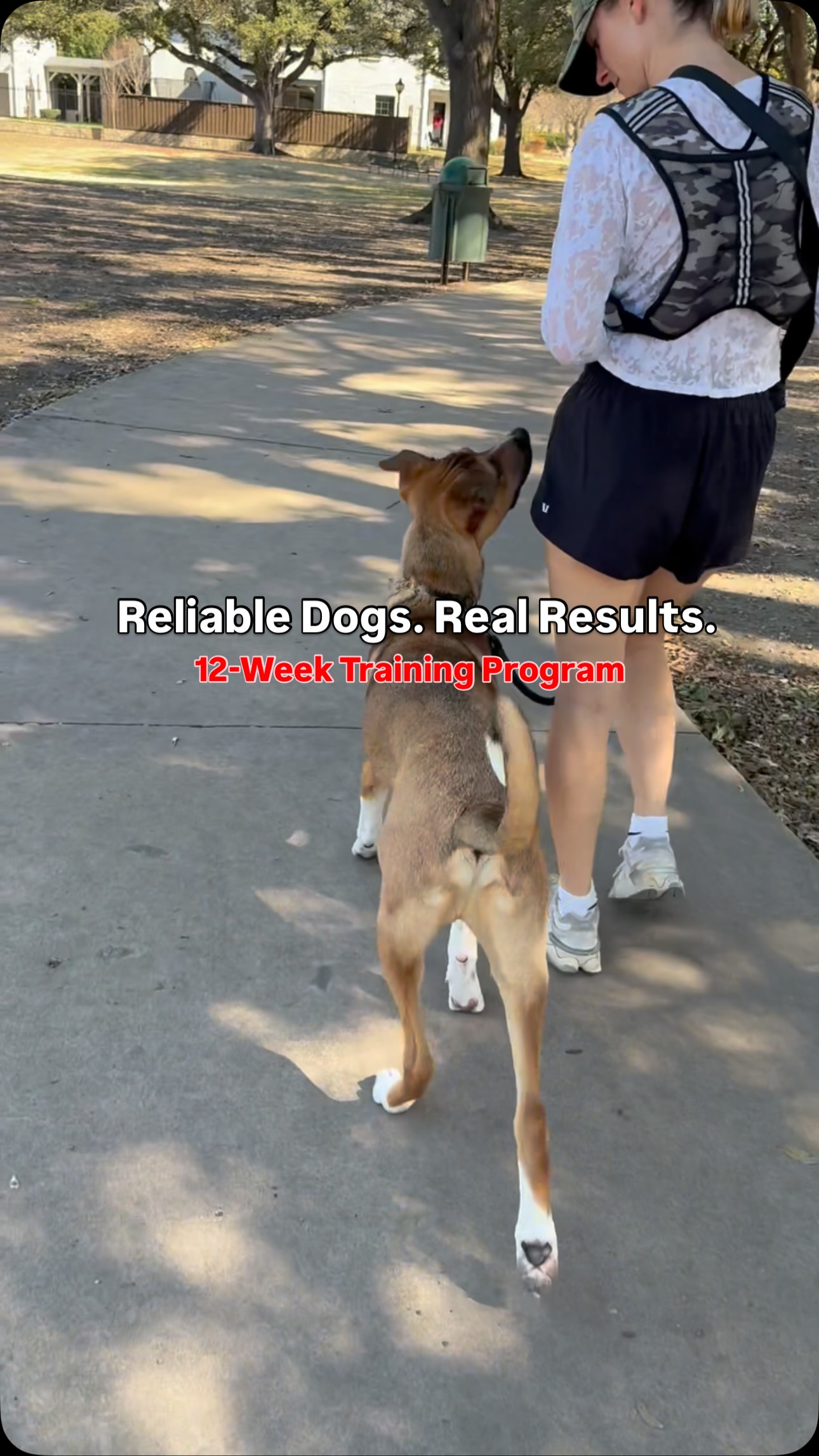 Designed for owners who want more than basic obedience.
Our 12-week program creates a calm, reliable dog that listens on real like situations- not just during training.
Through a structured, hands on process, your dog will confidently learn to:
-Walk in a structured heel
-Settle calmly at home or in public
-Come when called
-Ignore distractions + more
This is a guides, high value experience focused on long-term results! đ¤Š
You get over 20 lessons + group classes included!
Investment: $3,000
Fill out the New Client Inquiry form in bio or send us a DM to get started.
#dallasdogtrainer #dallasdogtraining #dfwdogtraining #dogtrainingtips #dallasdog