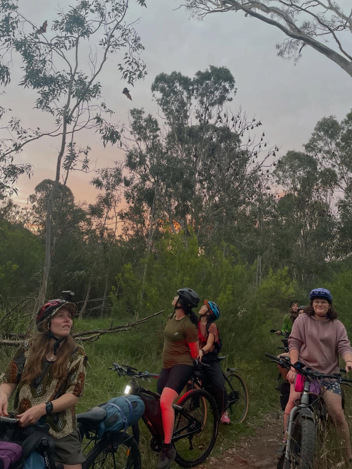 Tomorrow marks the first of our non-daylight savings rides and one of the last Yarra Trails rides before we move to winter programming. Grab your lights and get on down to Darling Gardens. 6:15 for 6:30 roll out. Remember to bring a lock if you want to join for dinner after, and a rain jacket because there’s a small chance of a shower. See you there, then!! ☺️