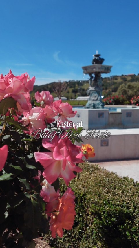 hoppy easter every bunny! 🐇🌷
.
.
.
.
.
#ballykealestate #suisunvalley #suisunvalleycalifornia #suisunvalleywinery Easter in Suisun Valley at Bally Keal Estate!