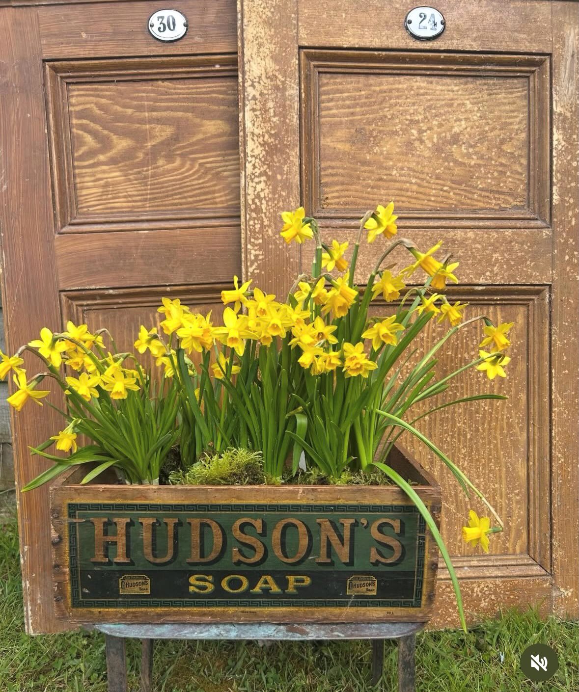 Introducing our Spring Brocante Exhibitors 🌿
@missflytesattic
A gorgeous collection of decorative antiques, vintage finds and pretty ceramics, something with a story to tell, all sourced & curated by lovely Kay @missflytesattic 🌿
Kay has joined us many times before and always has a show stopping stand in the Jubilee Hall @larmertree 🌿
We hope you’ll be able to join us over May Day weekend at the Spring Brocante 🌿
Sunday & B/H Monday
3 - 4th May
Larmer Tree
Nr Salisbury
🌿 40 Stands in the halls & garden marquee
🌿 Fresh coffee & cakes in the gardens
🌿 Stone baked pizza & French patisserie
🌿 Music
🌿 Workshops
For more details and to buy tickets, please see our website ~ link above 🌿