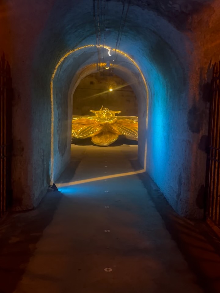 Up to my eyeballs in champagne, including the 18km of art-filled tunnels @champagnepommery and one my favourites, @perrierjouet. If you’ve seen the film Champagne Problems on Netflix, we also visited where it’s filmed, Comtesse Lafond, and loads of others really #champagne #epernay #reims #travel