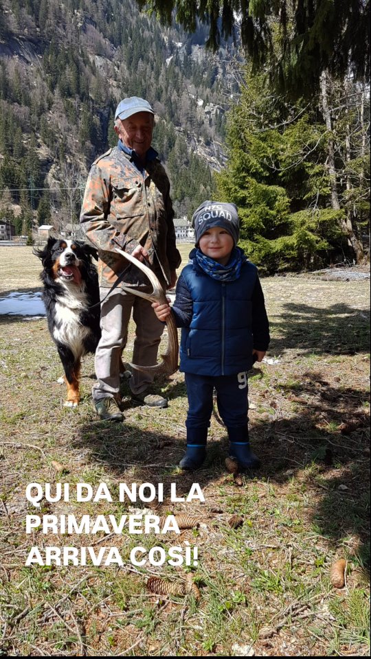 👉🏽È questo il periodo in cui i cervi perdono le corna, a causa del calo ormonale.
Camminando nei boschi, con un po’ di fortuna, si possono trovare.
Tracce della natura che ricordano il passare delle stagioni.
📍Val Formazza
ℹ️👉🏽La raccolta delle corna è regolamentata: informati sempre sulle norme della Regione Piemonte prima di raccoglierle.
#valformazza #primavera #stagioni #corna #cervi