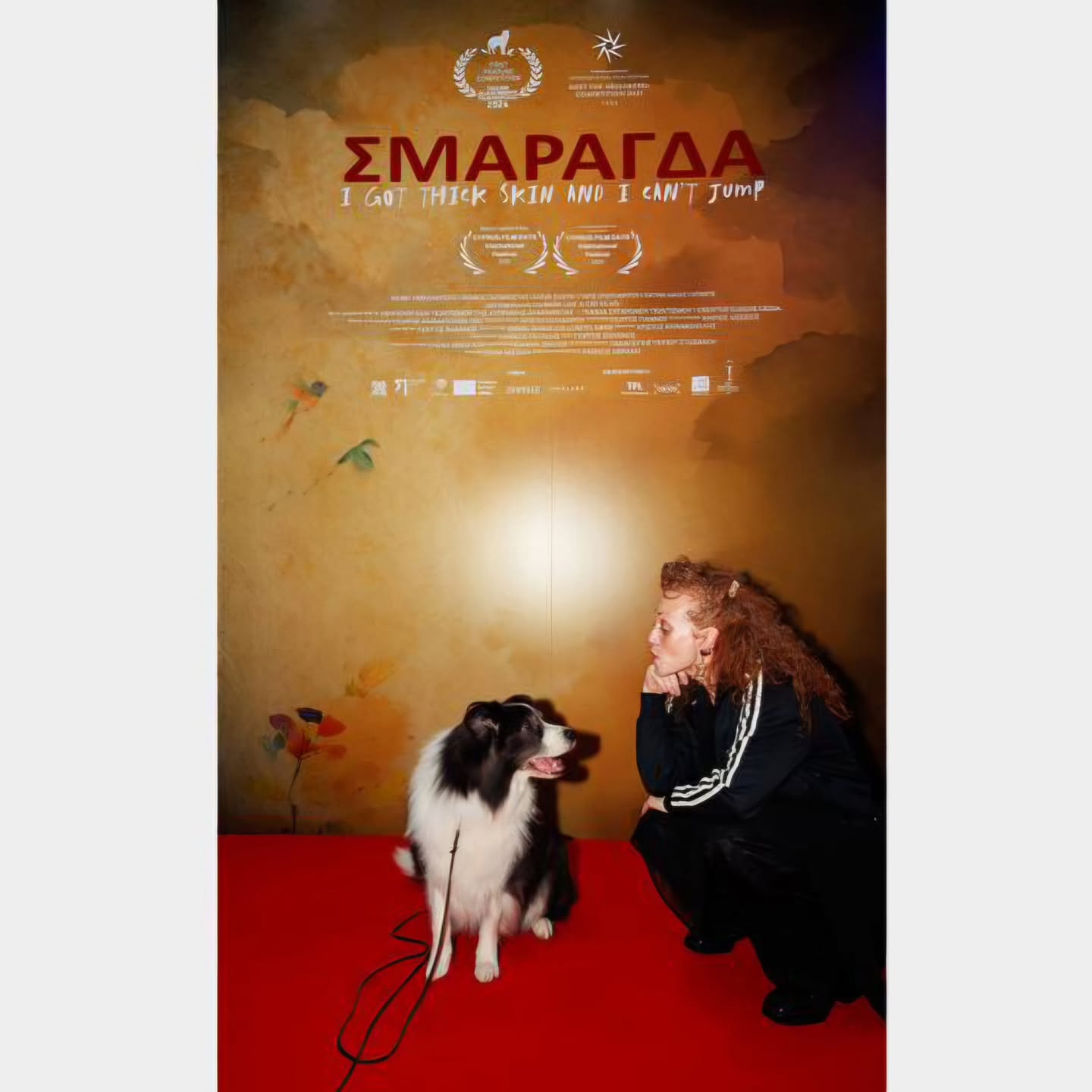 OFFICIAL PREMIERE NIGHT 🎬🔥
Dante made it to the big screen 🐾✨
(yes, he is in the movie!!)
✨Gallant Greyson od Cidliny️✨️
Another great night with our little boy!
Calling our doggy friends to go watch it in cinemas and support the film! you might just spot a familiar furry face 👀🍿
@pantheoncinema