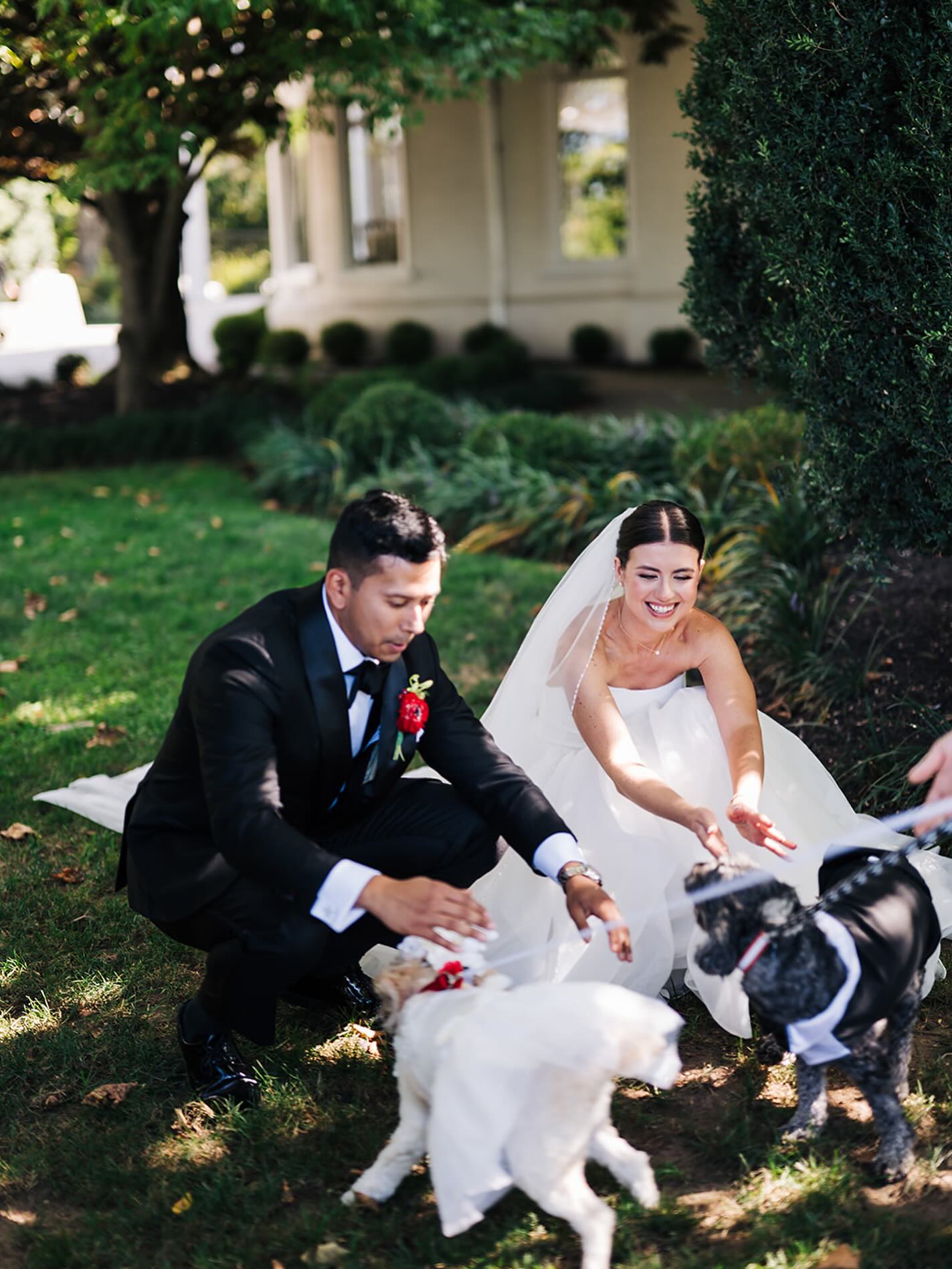 Because weddings are better when your pups are part of the “I do.” 🐾🤍
Coordination - @dmvweddingsandevents
venue/catering - @ceresvillemansion
Photography - @dcorzo_photography
Videography - @tlicmedia
Band - @bachelorboysband
Florals - @thelemondecor
Glam - @sparklebyelena
Cake - @plantbakedbysarah
Content creation - @contentbyliz_