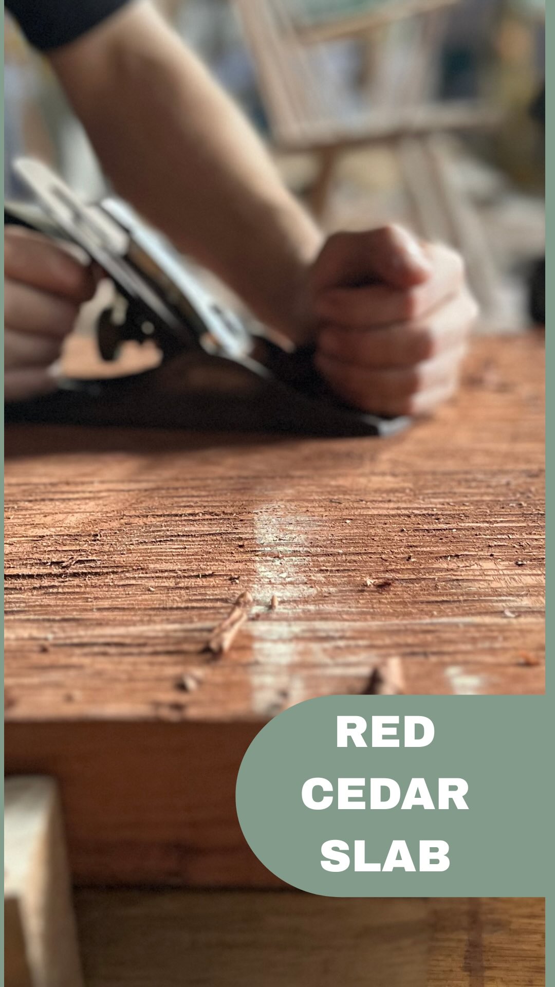 Started a new project today. I have three weeks to get this one finished in time to enter it into the @woothaprize I had no idea what I was going to find when I started flattening this piece of Red Cedar but there was some beautiful curly grain hiding inside! This has to be one of the most beautiful examples of this species I’ve ever seen! I better not f*%k it up.
Australian Red Cedar is a native rainforest tree prized for its deep red colour, workability and resistance to pests. The local indigenous word for this species is Wootha.
#woodworking #wootha #furnituremaker #handmade #handtools