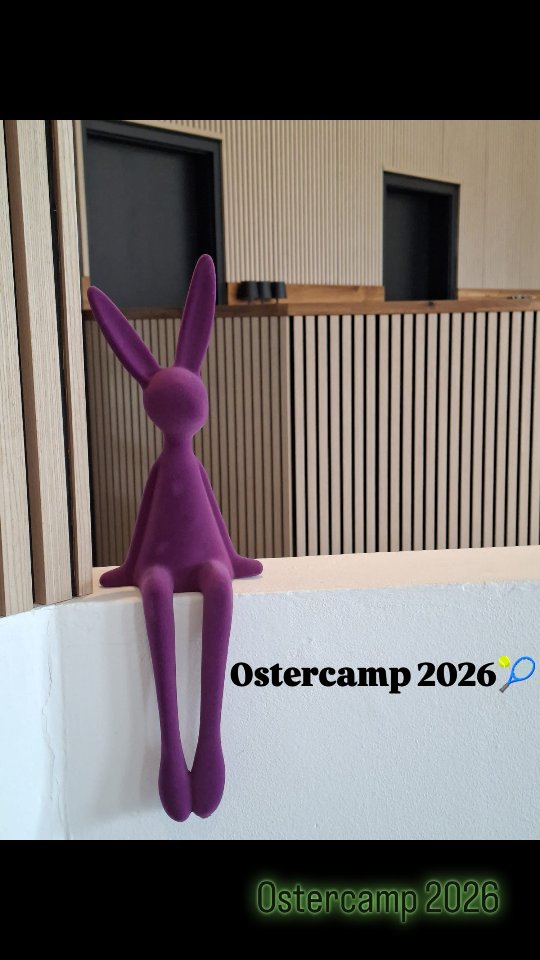 #camp2026🎾 #springvibes #sunshinemood☀️ #claycourt #tennislove