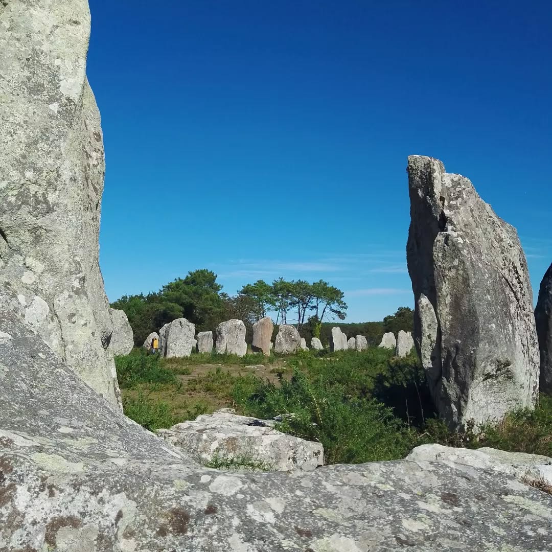 Rechargez puissamment les batteries 🔋🔋🔋 vertes de Mère Nature