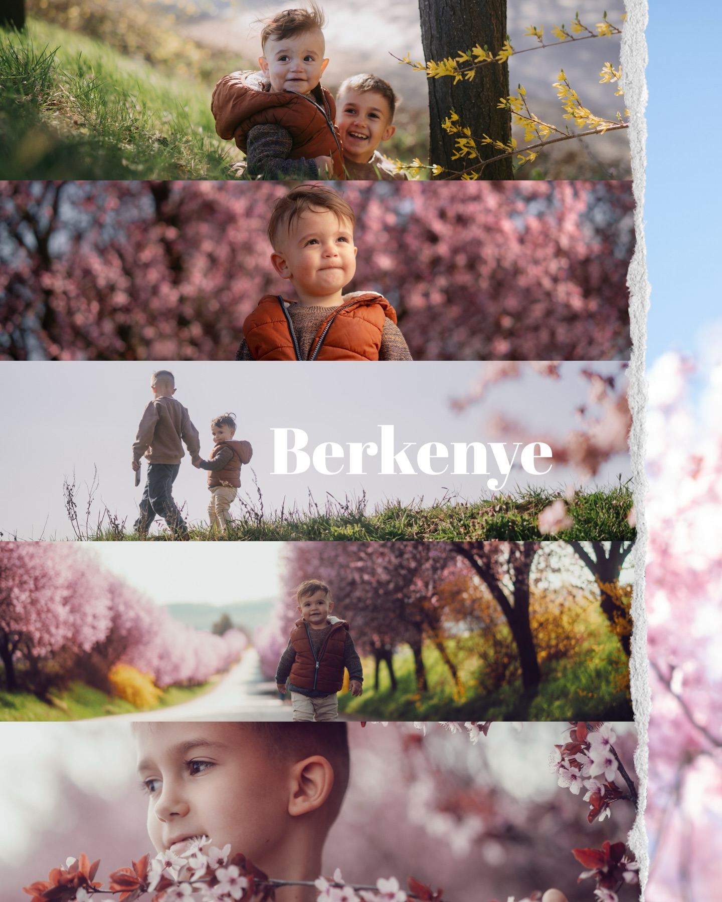 Berkenye
#szilvafasor #berkenye #familyphotography #cherryblossom #springtime