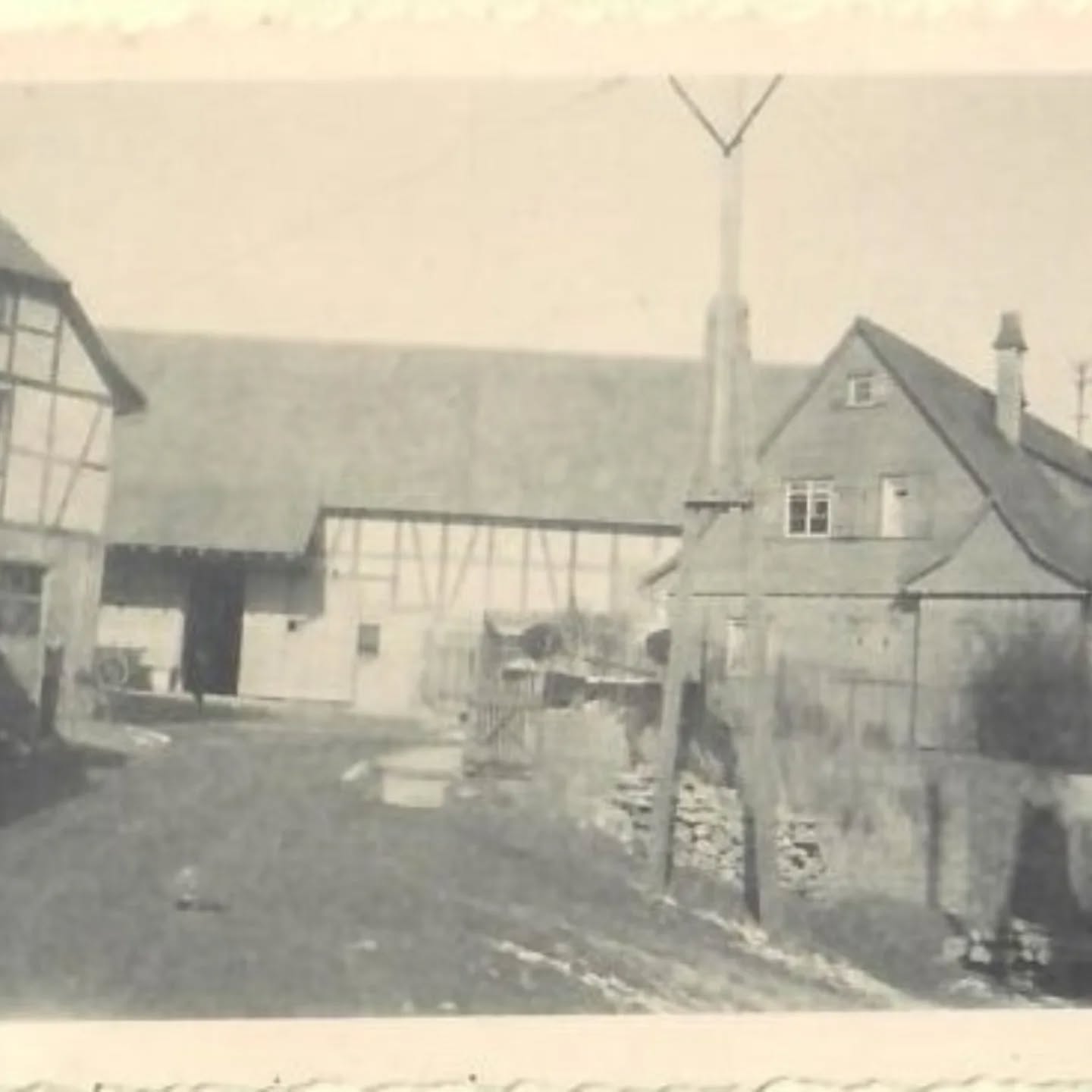 Der Meierhof in Ingersheim!
1. So sah der Hof im Jahr 1949 aus.
2. Eine Pferde-Star-Parade am Sonntagmorgen im Jahr 1935.
3. Früher lebten hier im Stall Bullen.
4. Im Jahr 1976 wurde der Stall umgebaut.
5. Auch der Hof wurde damals gemacht, statt Schotter gab es nun Rasengitter.
6. Die Schweine durften 1977 in den Stall einziehen.
7. Der Stall stand seit 2015 leer.
8. So langsam wurde im Stall aufgeräumt, ab 2020.
9. Der neue Umbau des Stalls ging 2025 los.
10. Einige Stützen musste ausgebessert werden, eine Bodenplatte wurde vorbereitet.
11. Nach dem Estrich wurden Zwischenwände eingesetzt für die neuen Räume.
12. Der Boden wurde gefliest.
13. Und nun ist tatsächlich ein Gastraum draus geworden, 2026!
14. Außen wurde auch fleißig gearbeitet und aufgefrischt.
15. Unser Hofcafé & Eventlocation auf dem Meierhof...was für ein Wandel in den letzten Jahrzehnten!!