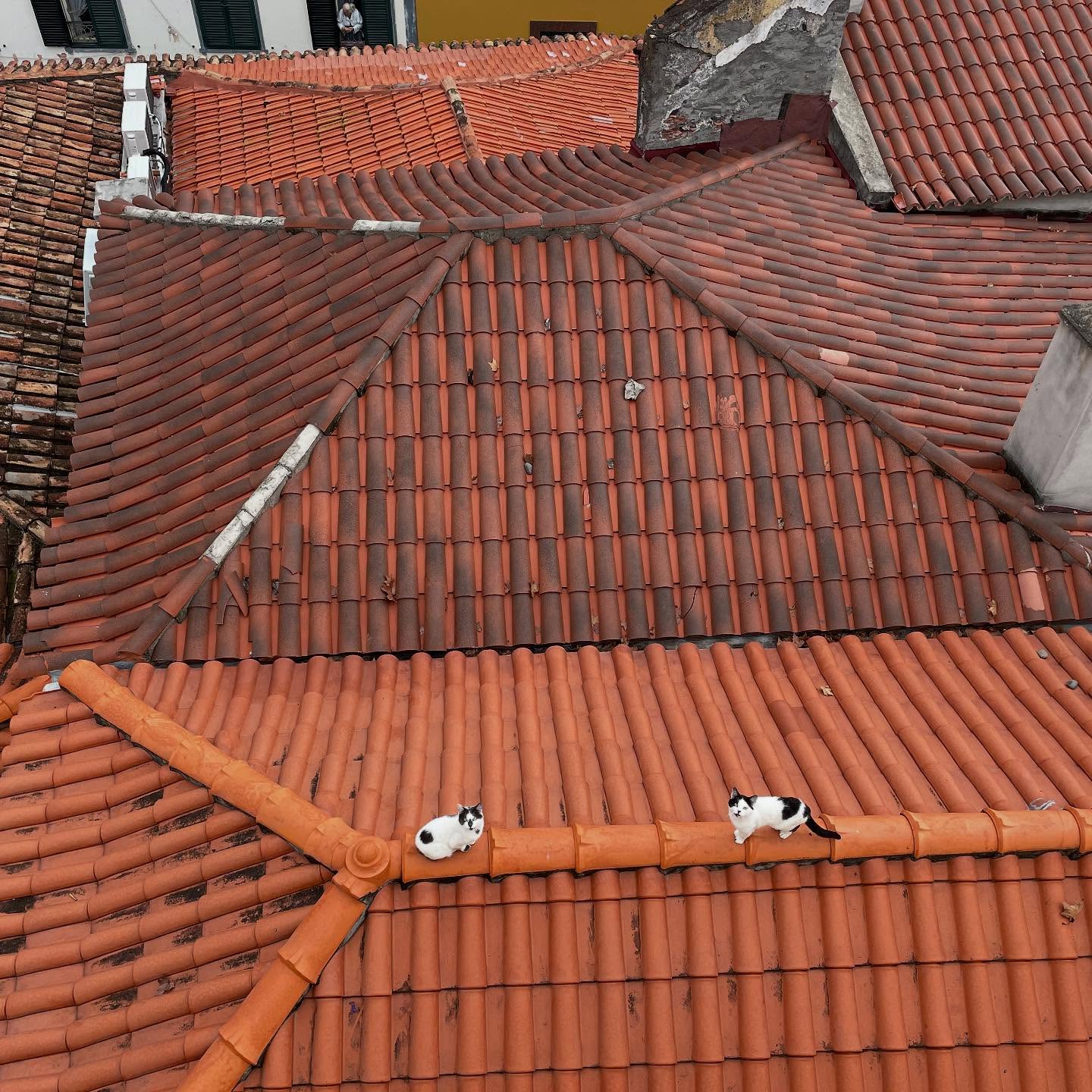 An unexpected conversation.