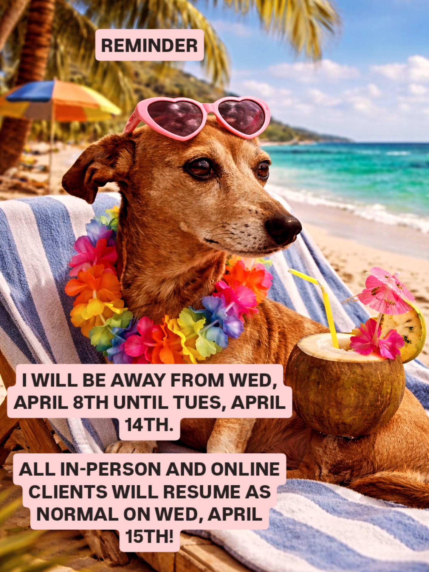 See everyone next week on Wednesday, April 15th! Enjoy your week off!