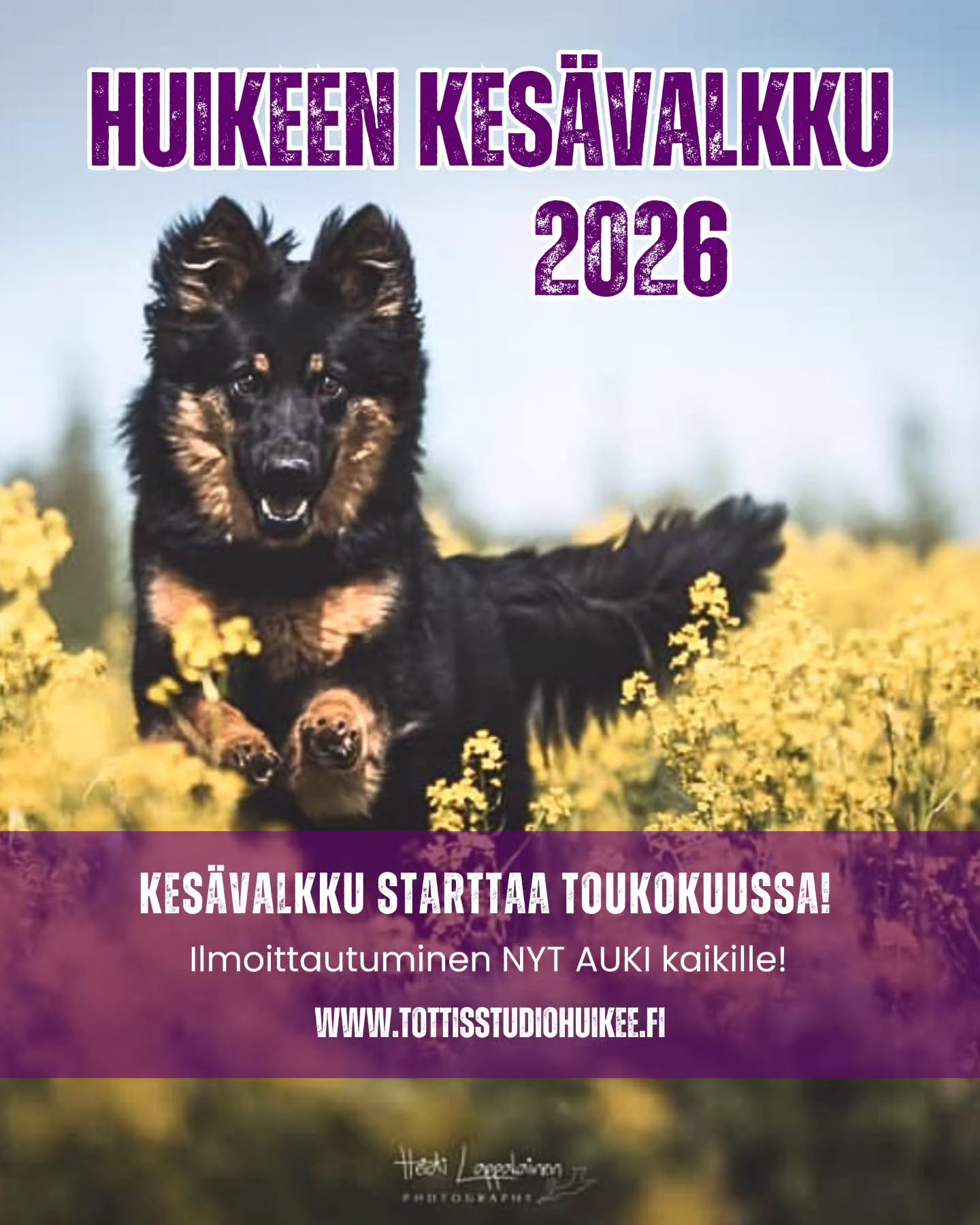 Kesä se sieltä jo lähestyy ja samalla tulee taas HuiKeen supersuosittu KESÄVALKKU 🤩💪
🔥 Ilmoittautuminen nyt auki KAIKILLE koiraharrastajille! Pikapikaa täyttämään lomake, jos mielit mukaan 🤩
🌸 HuiKeen kesävalkku 2026 🌸
Kaipaatko kesäksi monipuolisesti treenejä ilman, että sinun tarvitsee sitoutua tiettyyn päivään ja aikaan? Tämä on juuri sinulle! 🤩 HuiKee tarjoaa kesävalkun, jossa voit valita ne treenit,lajit ja päivät jotka sinulle sopii. Kesävalkussa on myös huikea valikoima eri lajien treenejä, joten sieltä löytyy jokaiselle jotain! Kesävalkkuun on tervetulleita kaikki harrastuskoirat - ikään, rotuun tai osaamistasoon katsomatta 🐶
HuiKeen kesävalkku on ryhmä, joka toimii koko kesäkauden touko-syyskuu välillä. Ryhmässä pääset treenaamaan sekä tutustumaan eri lajeihin. Tarjolla on mm. PK-tottis, TOKO, jälki (metsä+pelto), esineruutu, haku, nosework, rally-toko, näyttely, ohitus/arkihallinta, jumppa sekä häiriötreenejä! Voit osallistua vaikka jokaiseen lajiin oman mielenkiintosi mukaan. Kuukausimaksulla saat valita 4 vapaavalintaista treeniä silloin kun ne sinulle sopii ja lisätreenejä on ostettavissa erikseen. Treenejä on arkipäivinä, arki-iltoina sekä viikonloppuisin. Treenit sijoittuu maastoiltaan Lapinlahti-Suonenjoki välille, Kuopio/siilinjärvi ulkokentille sekä HuiKeen hallille.
🌸 Kesto touko-syyskuu 2026 (sitova)
🌸 Hinta 100€/kk sisältää 4 vapaavalintaista treeniä kuukaudessa
🌸 Lisätreenejä saatavilla ryhmäläisille 10€/kerta
🌸 Maksu on ohjaajakohtainen eli voit vaihdella koiraa eri treeneissä ja lajeissa
🌸 Treenit vaihtelevina aikoina ja päivinä
🌸 Treeneihin ilmoittaudutaan fb-ryhmän kautta
🌸 Kouluttajana HuiKeen Heidi ja Maarit sekä mahdollisesti muut huikeen kouluttajat
TUTUSTU LISÄÄ VALMENNUSRYHMÄÄN KOTISIVUILTAMME JA ILMOITTAUDU MUKAAN
🌸 www.tottisstudiohuikee.fi
📍 Pääset ilmoittautumaan mukaan kotisivujemme kautta tai suoraan alta
🔥 https://docs.google.com/forms/d/e/1FAIpQLSfIzUU5kyky2uju1AtZqT_fjoLsVpcmMsUPQ7_bcADU_fCrPg/viewform
📌 Kesävalkkuun on rajoitettu määrä paikkoja vapaana! Ilmoitamme erikseen mukaan mahtuneille.
Tervetuloa mukaan! 🌸
#kesä #kuopio #koira #koirakoulu #tottisstudiohuikee