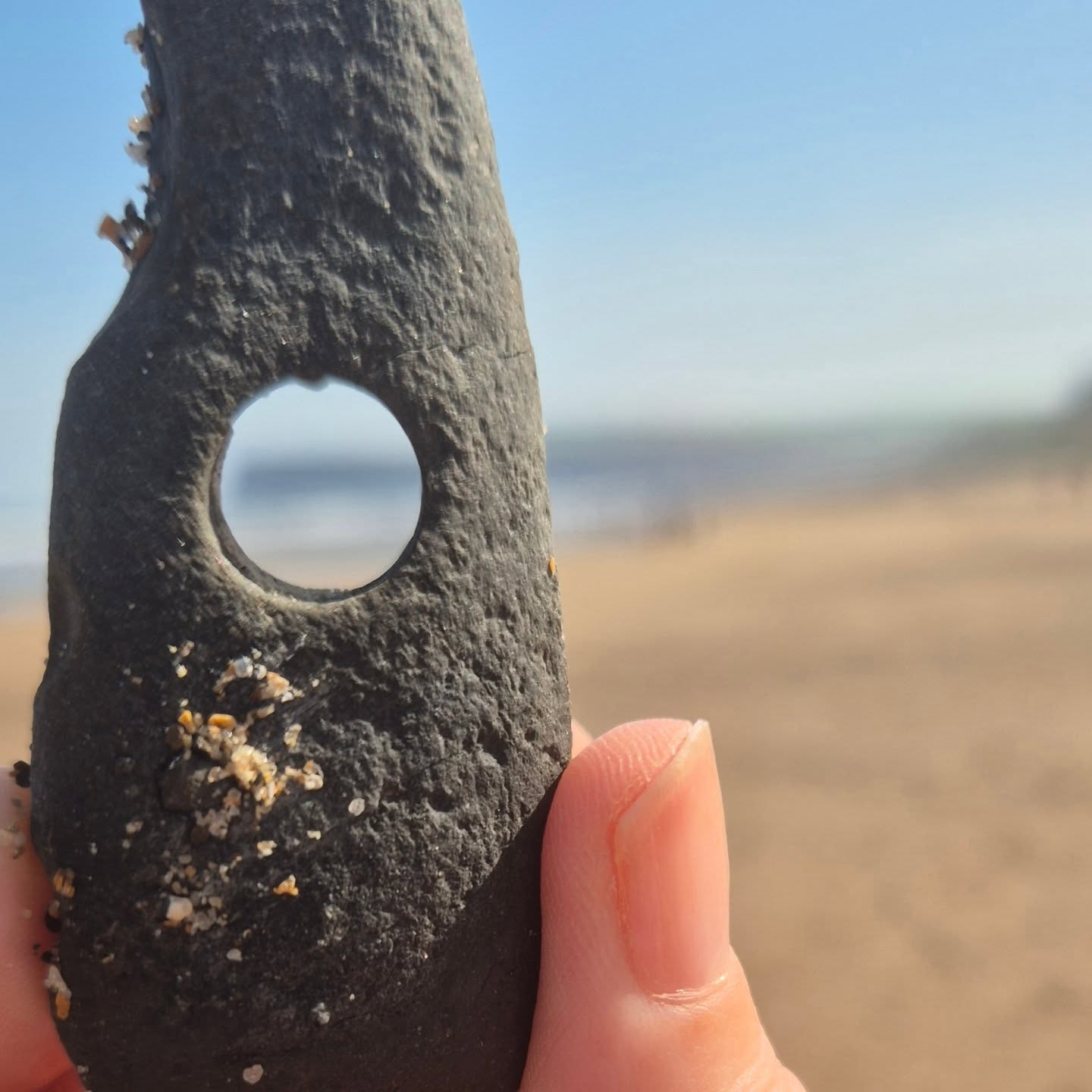 #hagstone find this morning.