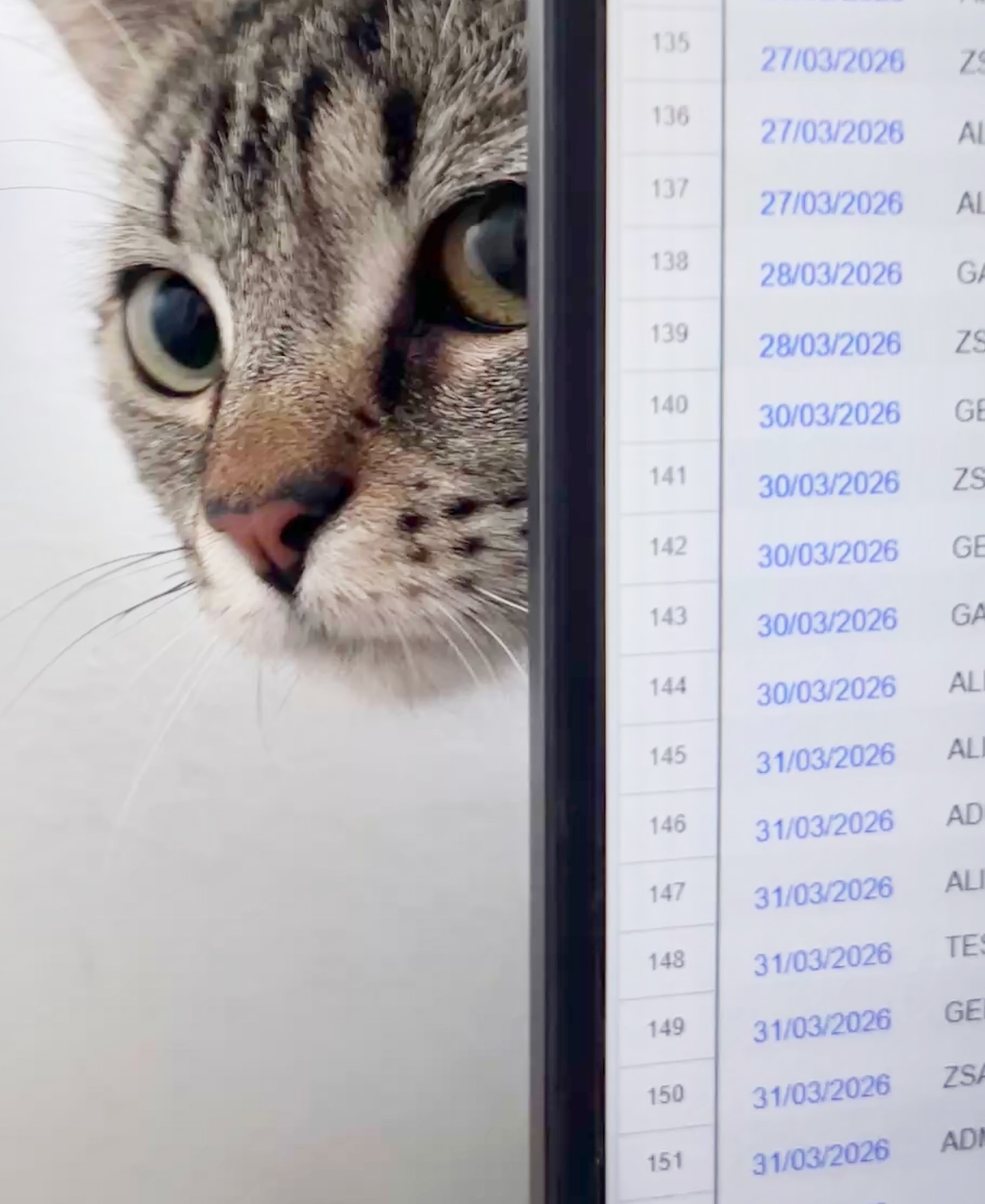 “Eres lo que haces cuando nadie te ve”. Acabo de leer esta frase.
Somos lo que hacemos cuando no hay espectadores ni testigos, cuando no hay cámaras apuntadando. Somos los mensajes que enviamos en caliente, los que borramos, los poemas que escribimos para que nadie lea.
Somos el insomnio y la taquicardia, la cama sin hacer, los pétalos que brotan
y vuelan
y caen
bajo nuestros pies.
👣