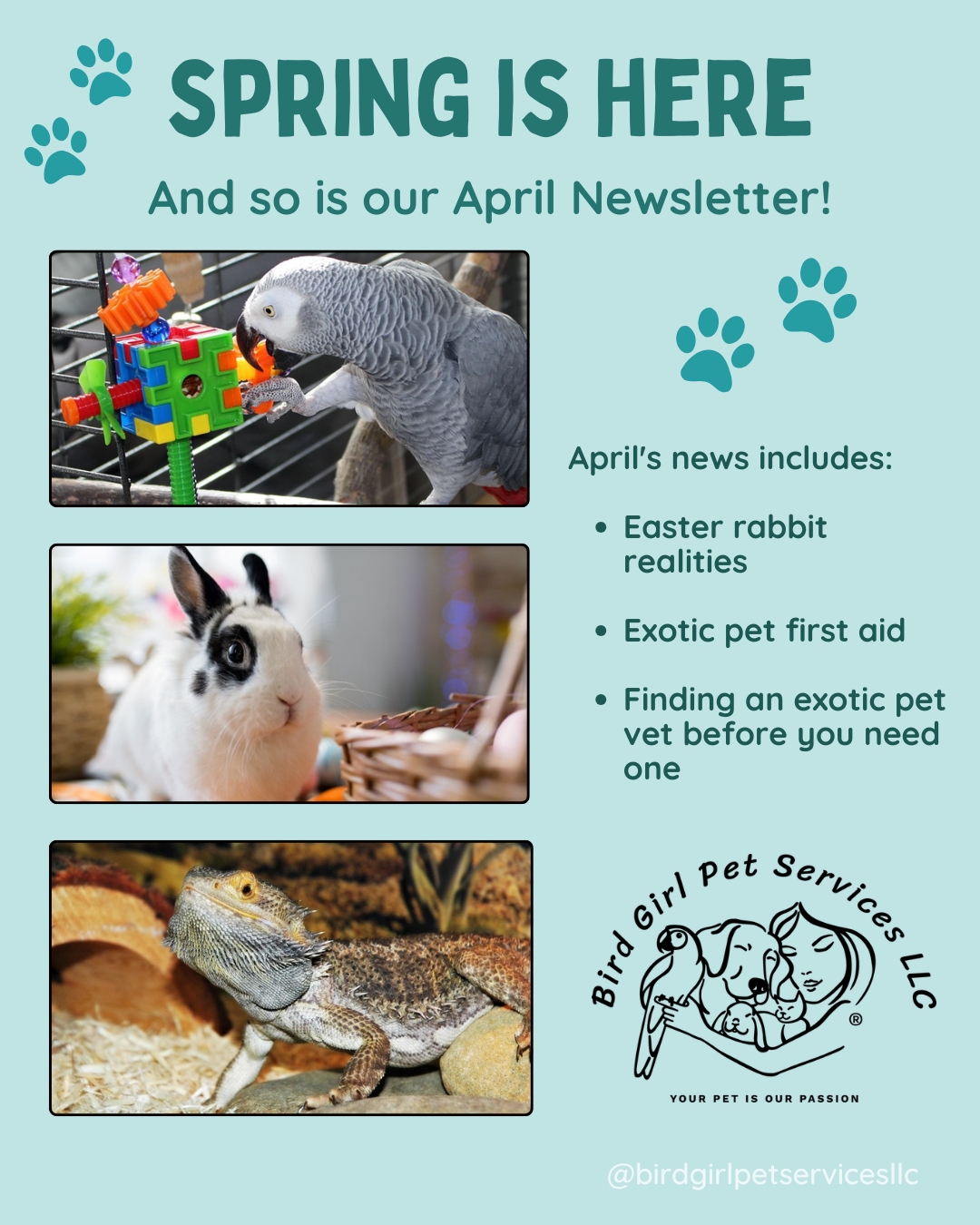 Spring is here, and so is our April newsletter.
This month we're talking about why rabbits don't belong in Easter baskets, what first aid actually looks like for birds, rabbits, and bearded dragons, and why knowing your exotic vet before you need them might be the most important thing you do this season.
Summer boarding is also filling up faster than expected - a few weeks in Summer are already booked for birds! Have you booked your pet's time with Bird Girl Pet Sitting?
Link in bio to read the full issue.
#BirdGirlPetServices #ExoticPetCare #Newsletter #PetEducation #LongIslandPets
