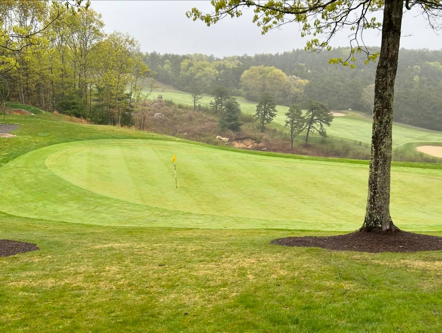 Wrapped up the Cape trip with some New England spring weather @waverlyoaksgc