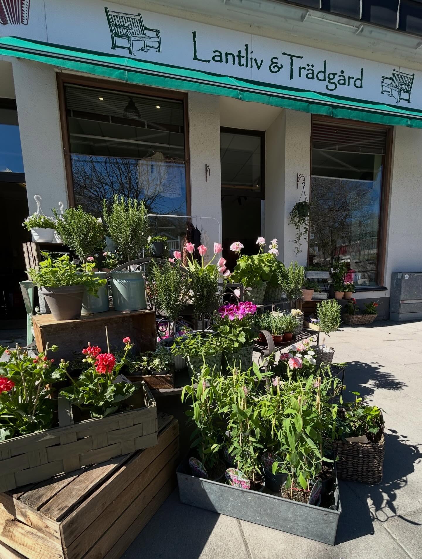 Vilken härlig dag vi har! Solen skiner och våren är här! Vi har så mycket fint i butiken nu och har öppet som vanligt hela helgen!
☀️Varmt välkommen ☀️
Fredag 11-18
Lördag 10-16
Söndag 11-15