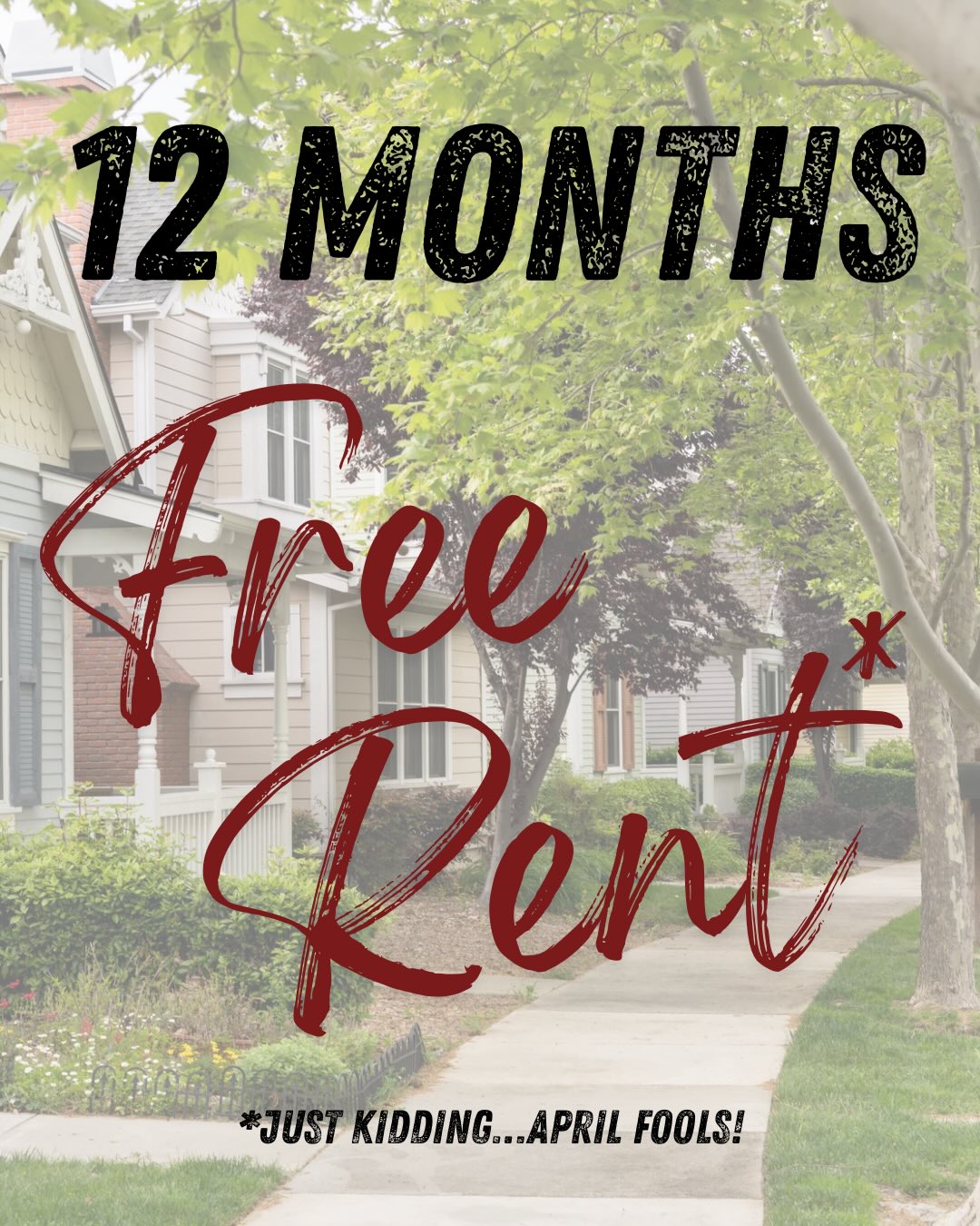 IF 😅 ONLY
But let’s be real…
We’ve got great properties available for August move-in near the University of Alabama — from 1 bedrooms to full houses.
🏡 1–4 bedroom options
📍 Close to campus
👀 A few standout spots still available
If you (or your group) are still figuring out housing, now’s the time to lock something in.
📞 Call 205-752-0484 or check our Facebook and website to see what’s available. Don’t get fooled into missing out!