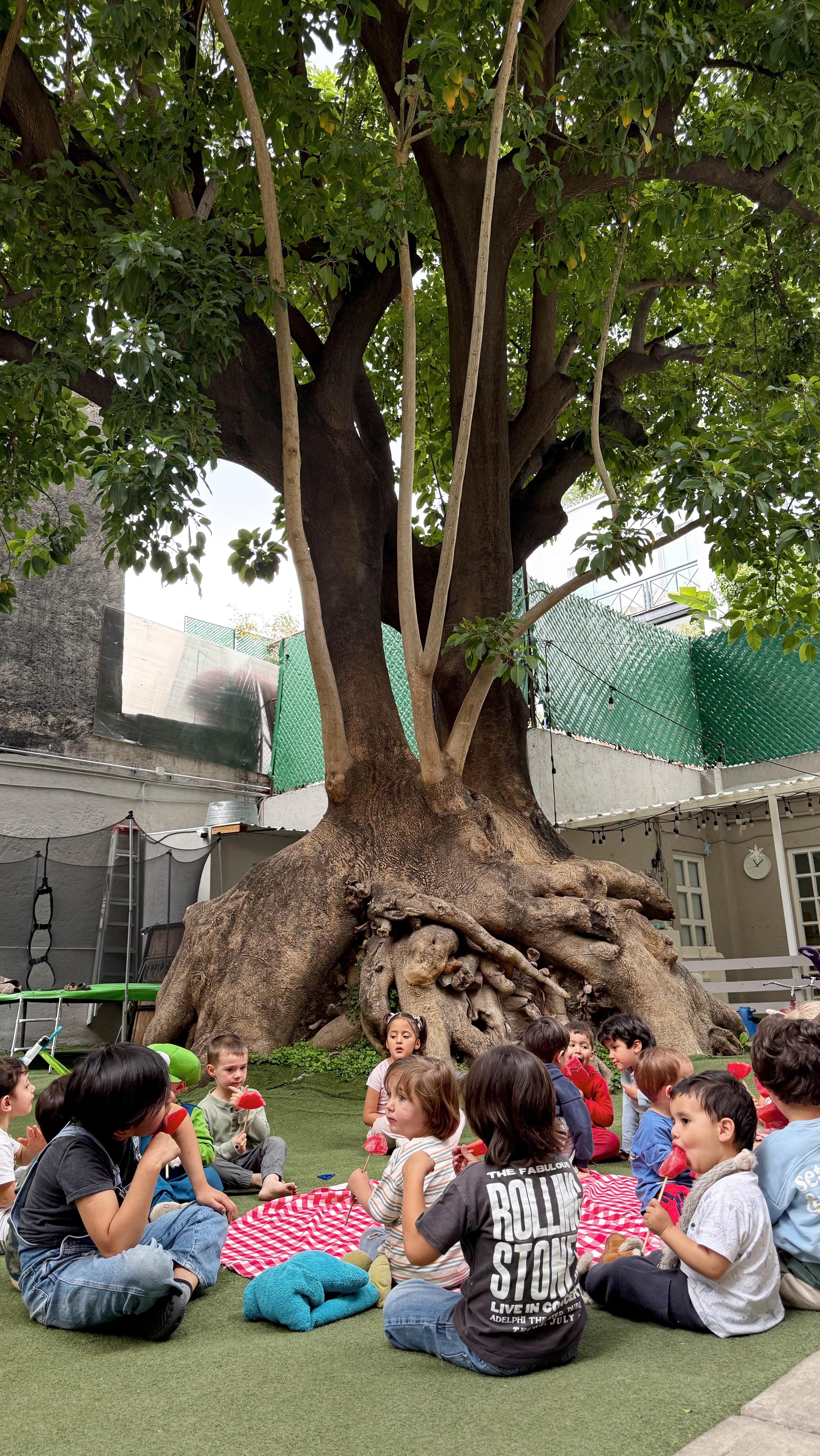 Egg hunt ✨🤍
#happykids #childhood #outsidelearning #playbased #egghunt