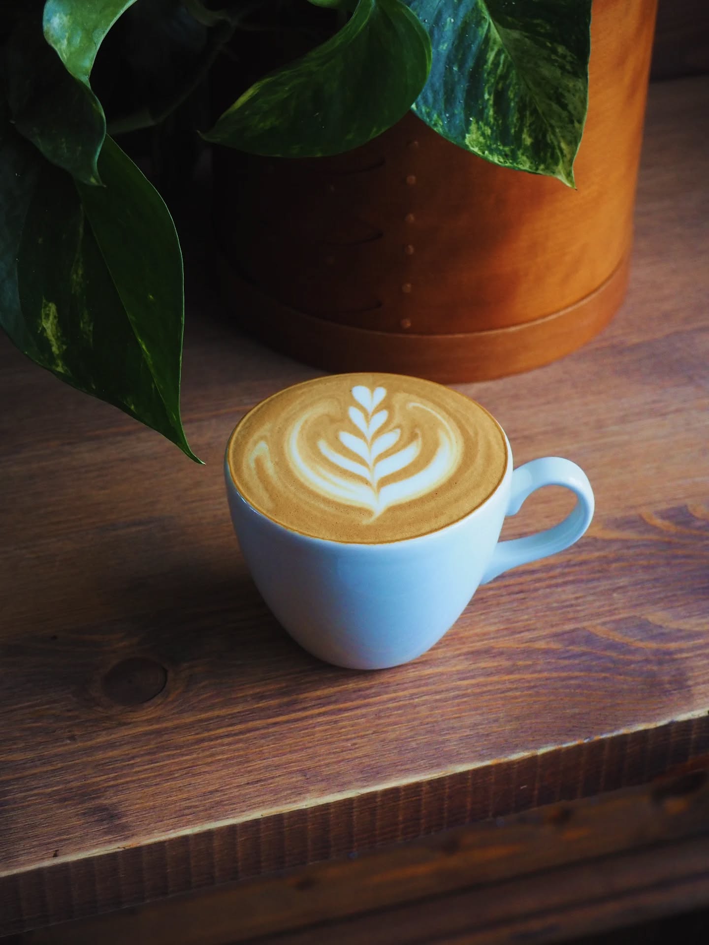 We're open all bank holiday weekend and bank holiday Monday π
.
Thursday 9am-9pm
Friday 9am-10pm
Saturday 9am-10pm
Sunday 9am-8pm
Monday 12pm-8pm
.
Theres more opportunities to enjoy a silky latte made from jersey cow milk and speciality coffee from @twobrotherscoffee at Hive Stores. βοΈ
#coffeeshop #latteart #lattearttulip #altrincham #coffeecommunity