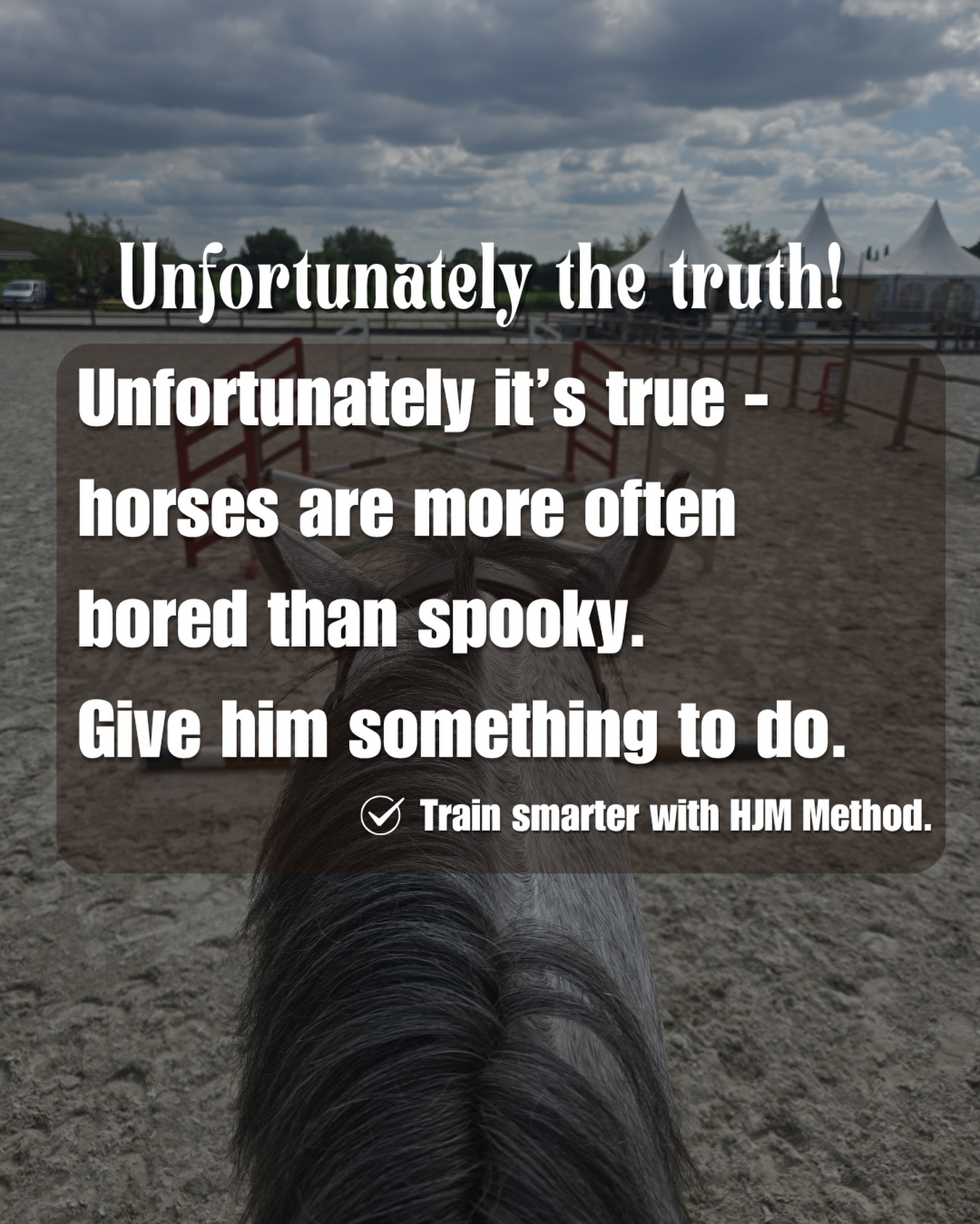 We believe that good training starts with understanding the horse.
👉🏻 Train smarter with HJM method
#horsemanship #hjmmethod #horsemanshiptraining #horsemanshipacademy #horsemanshiptrainer