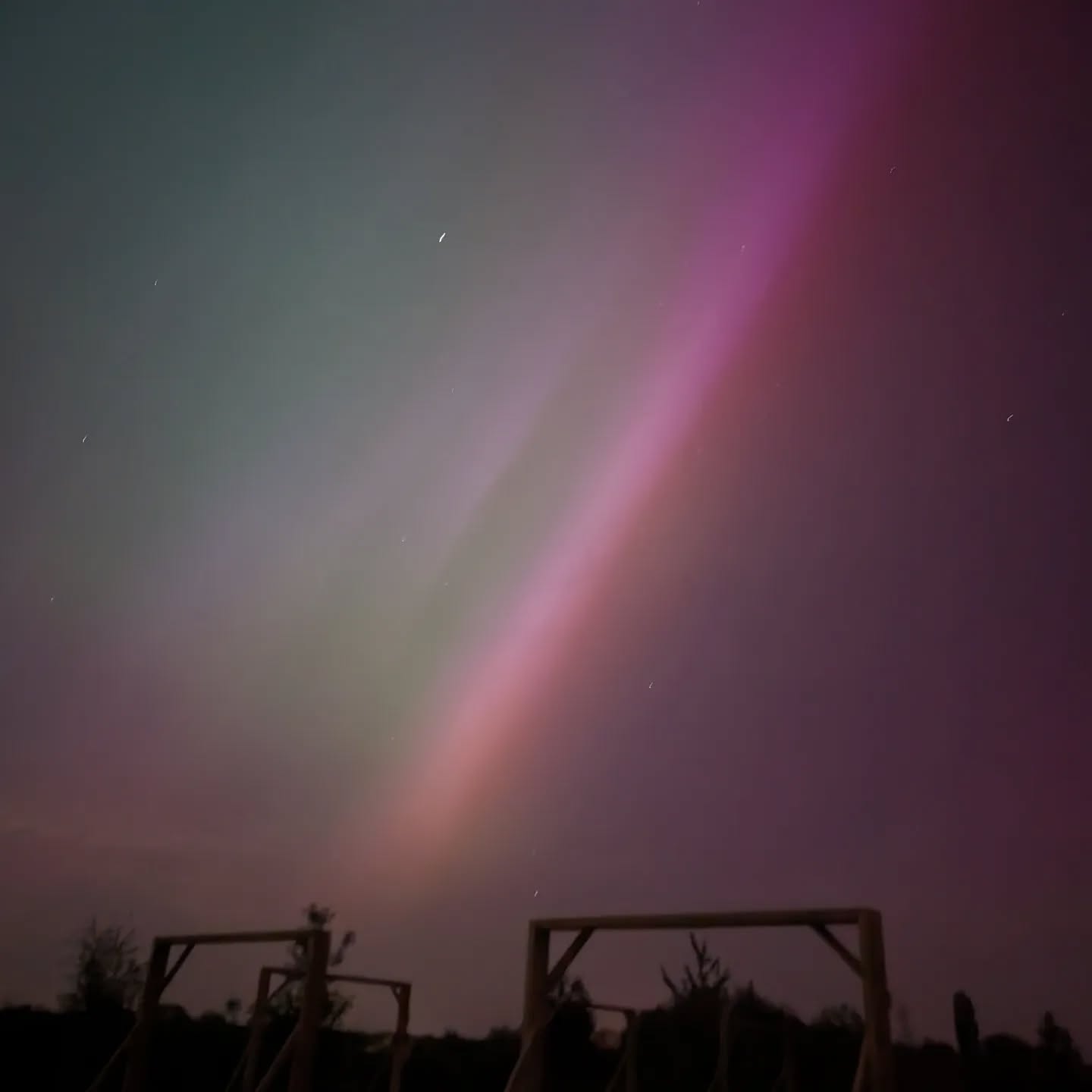 Check out these gorgeous images of the aurora borealis that Steve captured at the nursery last night.
Completely unedited photographs.
Makes us realise how lucky we are to live in such an open space with dark skies โจ
#EnvisageGardens #GraftonNursery #HardyEucalyptus #worcestershire #aurora #auroraborealis #auroraborealisphotography