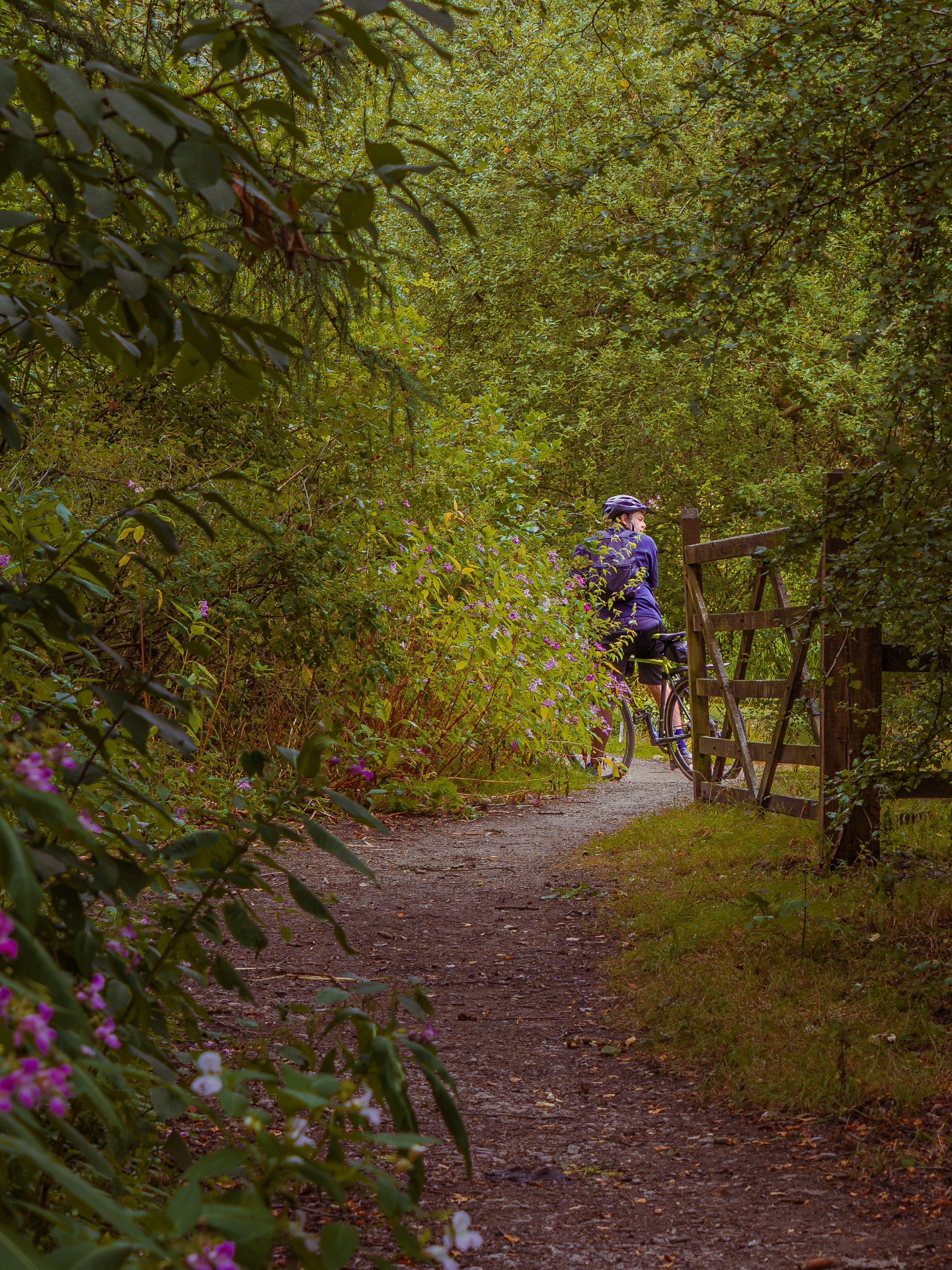 Couple more shots from the bank holiday weekend โจ๏ธ
Taken using Olympus OMD EM-10 Mark II with Olympus Zuiko 40-150mm lens
#weekendwander #naturephotography #wildlifephotography #landscapephotography #olympusphotographers
