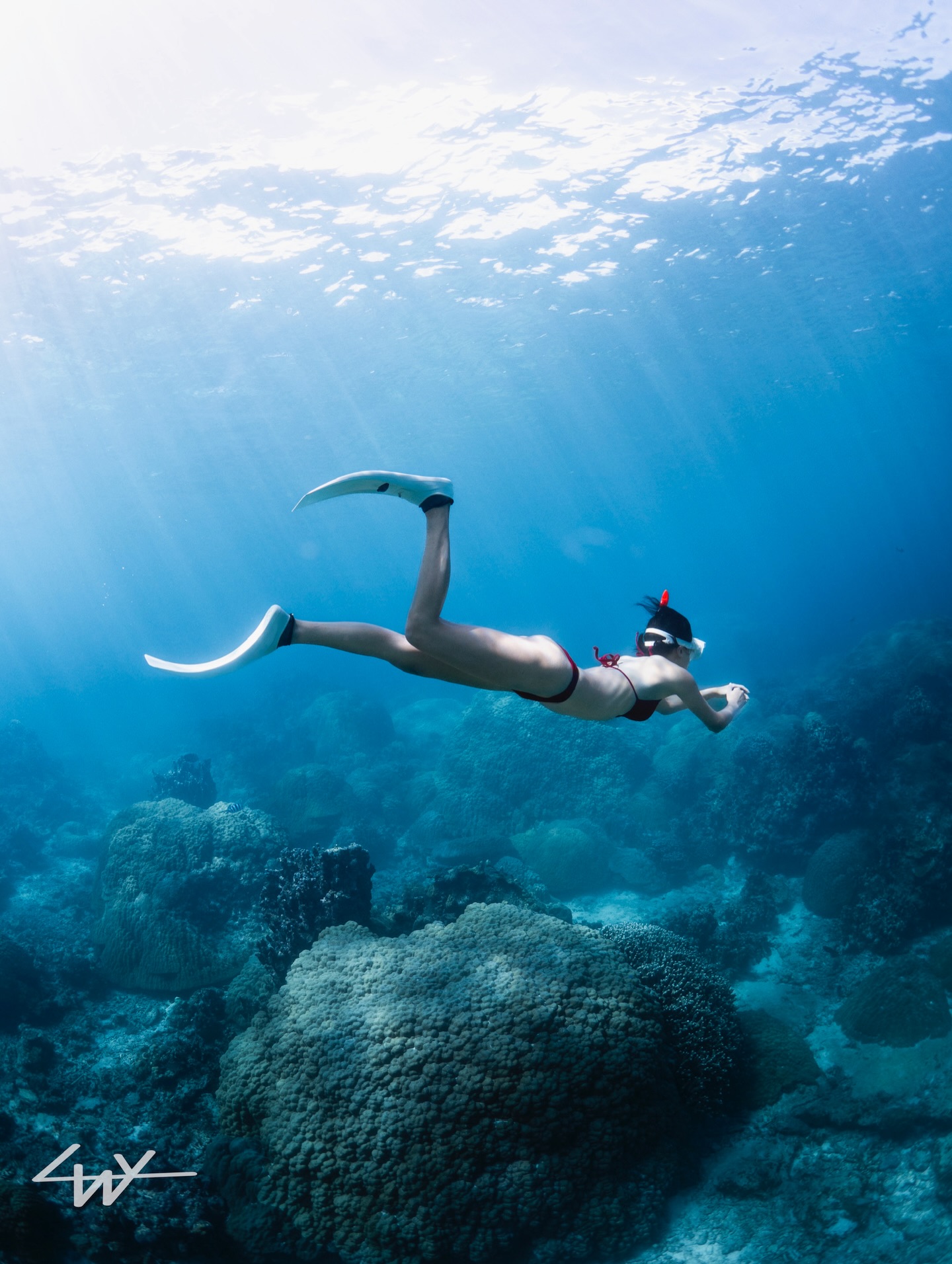 🌸💎🌸💎🌸💎🌸💎🌸
2026/3/16〜学割キャンペーンSTART✨
この機会にぜひお問い合わせお待ちしております🪸
.
期間▶︎2026/3/16〜4/30
料金▶︎全ツアー1,000円OFF
対象▶︎ツアー当日に学生であること。
ご予約の際に学生であることをお伝えください。
※団体の方は学生の人数分のみ割引となります。
🌸💎🌸💎🌸💎🌸💎🌸
.
🏝️海をもっと好きになれるツアー🏝️
🧜♂️メインガイド🧜♂️
@wallys_gallery
💎全ツアー1組貸切制💎
💎動画、写真データは全てプレゼント🎁💎
💎ロングフィン、器材全てレンタル無料🆓✨💎
💎初心者🔰でも大歓迎!ガイド歴10年以上💎
🫧━━━━ Skindiving ━━━━🫧
所要時間▶︎2時間
料金▶︎8,000円(1人参加の方は+2,500円)
🐚経験者の方はロングフィンの貸出も無料🆓
🐚スキルアップ重視の内容も可能👌
🫧━━━━ Schnorchel ━━━━🫧
所要時間▶︎2時間
料金▶︎6,500円〜(1人参加の方は+2,500円)
🐚泳げない方も安心してご参加下さい☺︎
🫧━━━ Skindiving license ━━━🫧
所要時間▶︎3.5時間
料金▶︎ 18,000円+ライセンス発行料5,500円
(1人参加の場合は+5,000円)
🐚条件クリアでPADIのライセンスカードが即日発行可能👌
🫧━━━━ Umi Photo ━━━━🫧
所要時間▶︎2時間
料金▶︎ 13,000円(1人参加の方は+2,500円)
🐚全撮影データ&レタッチ写真5枚プレゼント🎁
🐚衣装持ち込みなどご相談下さい🙆🏽♂️
【ご予約方法】
🐚InstagramのDM
🐚公式LINE 🆔▶︎ @ufj0961i (@から入力)
🐚リンク🔗のホームページ
ご予約状況はハイライトをご確認下さい。
【ぷくぷく】
2018年営業START🐠
全ツアービーチエントリー🏖️にて
エコ🌏&安心安全🦺をモットーに
ご案内しております。
海をもっと好きになれるツアー🐢✨
ご興味ある方はお問い合わせお待ちしております♨️
#宮古島
#宮古島スキンダイビング
#宮古島シュノーケル
#padiライセンス
#미야코지마