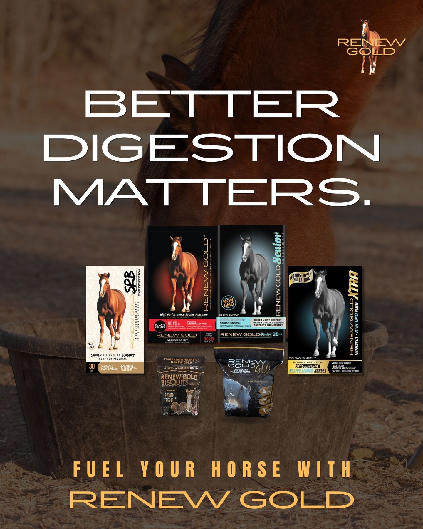What if your horse is already getting enough energy… but just can’t use it? 🤔
Grain can interfere with your horse’s ability to fully digest hay and pasture, their most natural energy source.
Renew Gold helps the digestive system work the way it should:
✔ Fewer roadblocks
✔ Better forage digestion
✔ More energy from every bite
When digestion improves, your horse gets more usable calories, often more than grain provides.
Simple. Efficient. Effective. 🌿🐴
#RenewGold #FuelYourHorse #BetterDigestion #EquineNutrition