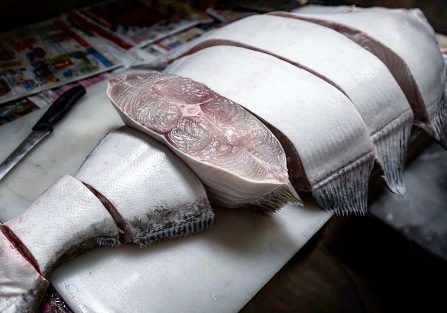 First fresh halibut of the 2026 Canadian Halibut Season has arrived straight to us from the coast! Big thanks to the hard working crews, hope you all have a safe and successful season! @wildpacifichalibut .
.
.
.
.
.
.
.
.
#freshhalibut #nelsonbc #freshcatch #seasonopener #thedinernelson