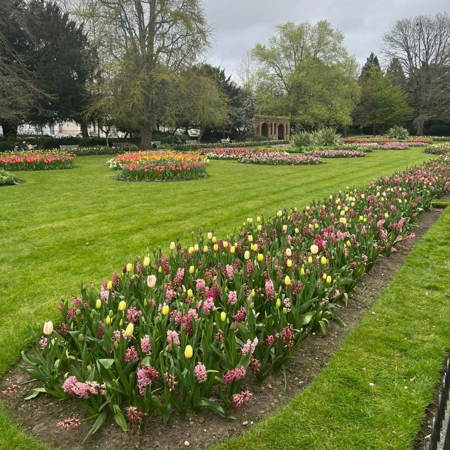 Weekend in Leamington Spa 🌼🌱 🐰
Photo credit to @jmegml 💜