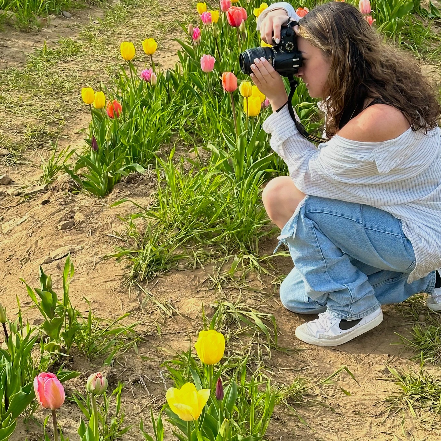 New project "Tulip Farm" up on my website! Check it out at the link in my bio and fill out the form on my website to hire me for shoots!
#photo #photography #photographer #tulips #flowers #entertainment #film #editing #videoediting #production #content #share #website #portfolio #pictures #college