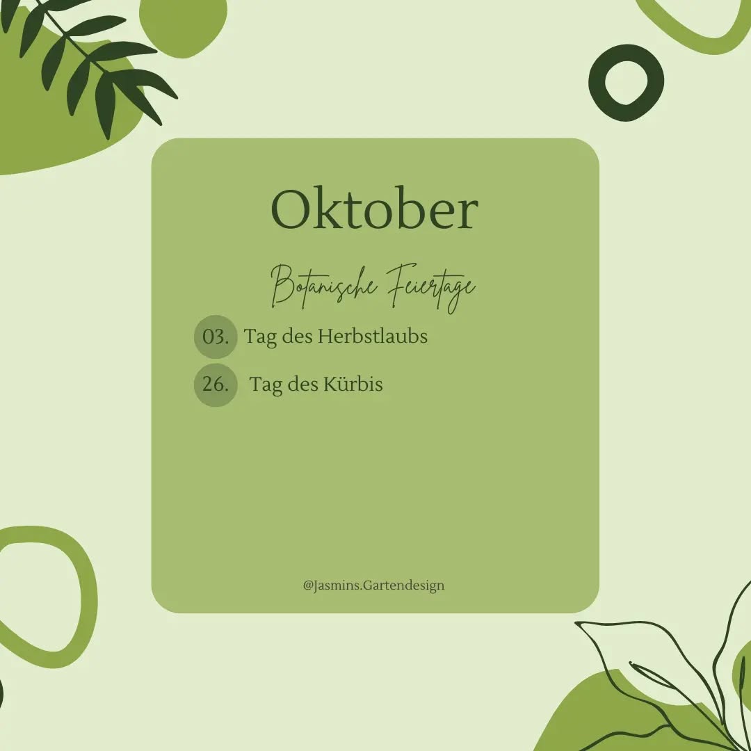 Schöne Restwoche wünsche ich dir!
Der Oktober ist zwar schon fast vorbei, trotzdem wollte ich dir die botanischen Feiertage nicht vorenthalten. 🌱💡
Was passt zum heutigen Tag besser, als ein leckeres Kürbisgericht ... 🎃
.
.
.
.
.
.
.
.
.
.
.
.
.
.
.
.
#Landschaftsarchitektur #Landschaftsgestaltung #landscapedesign #wissentogo #wissenswert #faktencheck #botanischefeiertage #botanicalknowledge #Gartengestaltung #gardendesign #gartenjournal #gartenkonzepte #tippsundtricks #tagdeskürbis