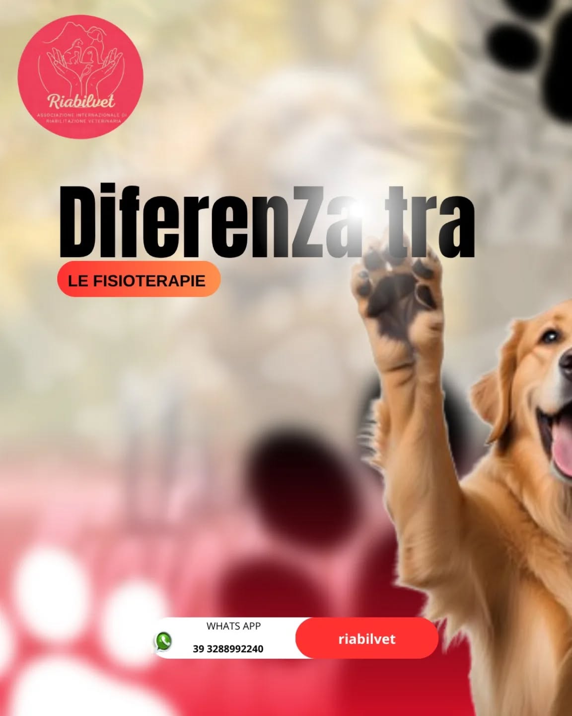🧠🐾 Riabilitazione veterinaria: non è tutta uguale
Molti parlano di “fisioterapia”…
ma pochi conoscono davvero le differenze.
Capirle cambia completamente il modo di trattare il paziente.
🔹 Fisioterapia Ortopedica
Si concentra su ossa, articolazioni e muscoli
👉 Indicata per:
post-chirurgia (TPLO, fratture, protesi)
artrosi
lesioni muscolari e tendinee
🎯 Obiettivo: recuperare mobilità, forza e funzionalità
🔹 Fisioterapia Neurologica
Qui il problema non è solo il movimento…
ma il controllo del movimento
👉 Indicata per:
ernie discali
lesioni spinali
patologie neurologiche centrali e periferiche
🎯 Obiettivo: riattivare connessioni neuromotorie e schemi funzionali
🔹 Fisioterapia Ospedaliera
Si svolge in contesto clinico, spesso in fase acuta
👉 Pazienti:
post-operatori complessi
ricoverati
condizioni instabili
🎯 Obiettivo: prevenire complicazioni e accelerare il recupero
🔹 Fisioterapia Palliativa
Qui non si parla solo di guarigione…
👉 Si parla di:
qualità della vita
gestione del dolore
supporto al paziente cronico o terminale
🎯 Obiettivo: alleviare, accompagnare, migliorare il benessere
⚠️ La verità?
Non esiste una sola fisioterapia.
Esiste la giusta fisioterapia per ogni paziente.
🌍 È questo il futuro della medicina veterinaria
Multidisciplinare.
Integrata.
Consapevole.
💬 E tu… stai trattando o stai davvero riabilitando?
#RiabilitazioneVeterinaria
#FisioterapiaVeterinaria
#VeterinaryRehabilitation
#MedicinaVeterinaria
#NeurologiaVeterinaria
OrtopediaVeterinaria
PainManagement
VetLife