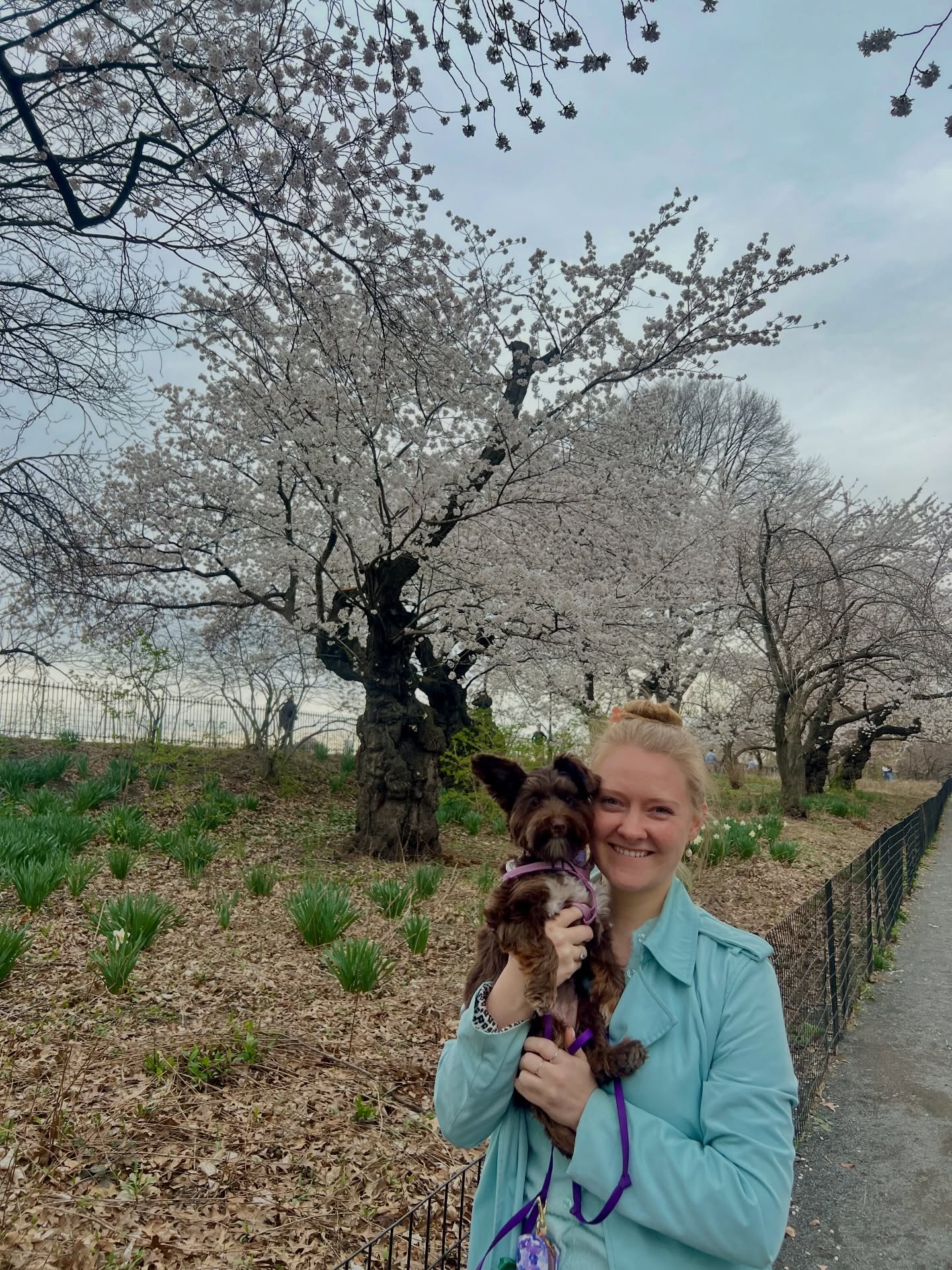 I saw these trees and immediately thought⦠this is a quilt palette. Light pink, yellow and aqua would make a beautiful quilt!
#quilt #babyquilt #customquilt #nycquilter #nycpuppy