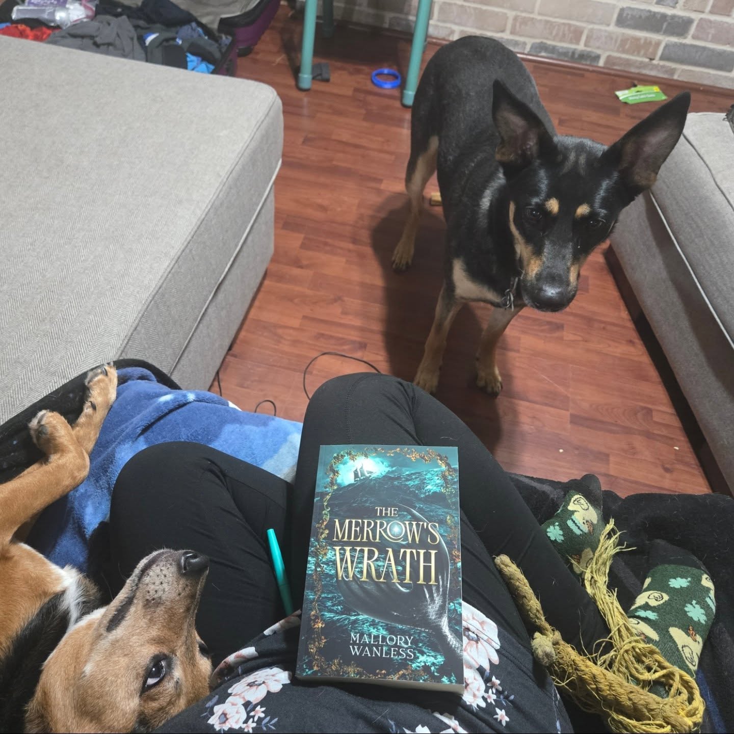 We're home! Home to happy puppies and *very* happy mail ๐ My first physical copy of The Merrow's Wrath. Isn't she STUNNING?? I'm gonna write all over the inside of her, but damn, the outside is gorgeous ๐
โ ๏ธ๐ก๐
If you like romantasy with:
Found family
Badass FMC
Second-chance romance
Celtic folklore
Revenge
Spicy reunions
Stick around ๐ I've got a story for you!