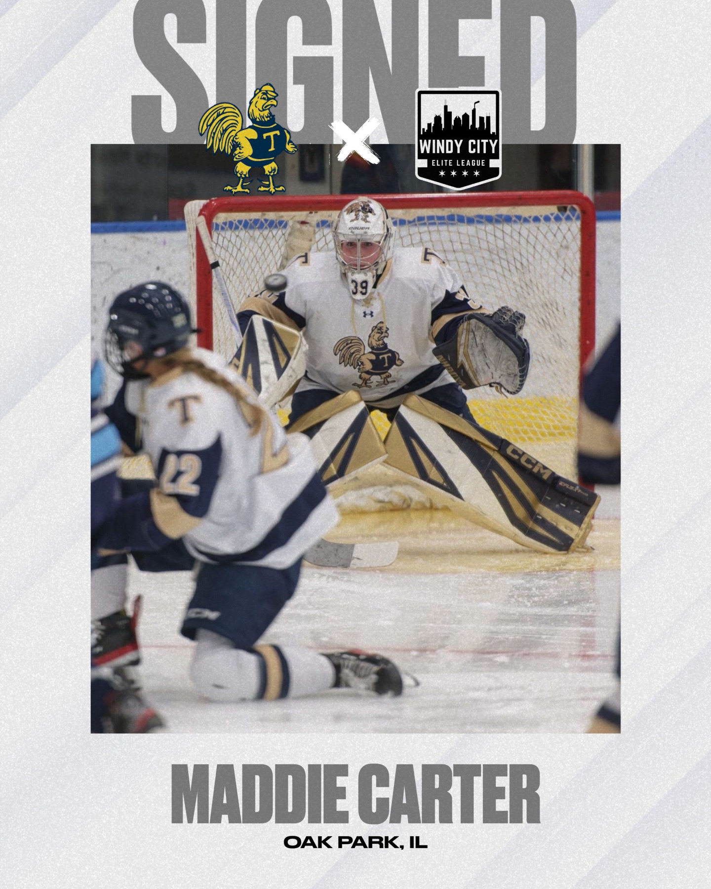 Welcome to the first 5 players of the inaugural season of the Windy City Elite League Women’s Division. Setting the standard from day one 🔥#wcel