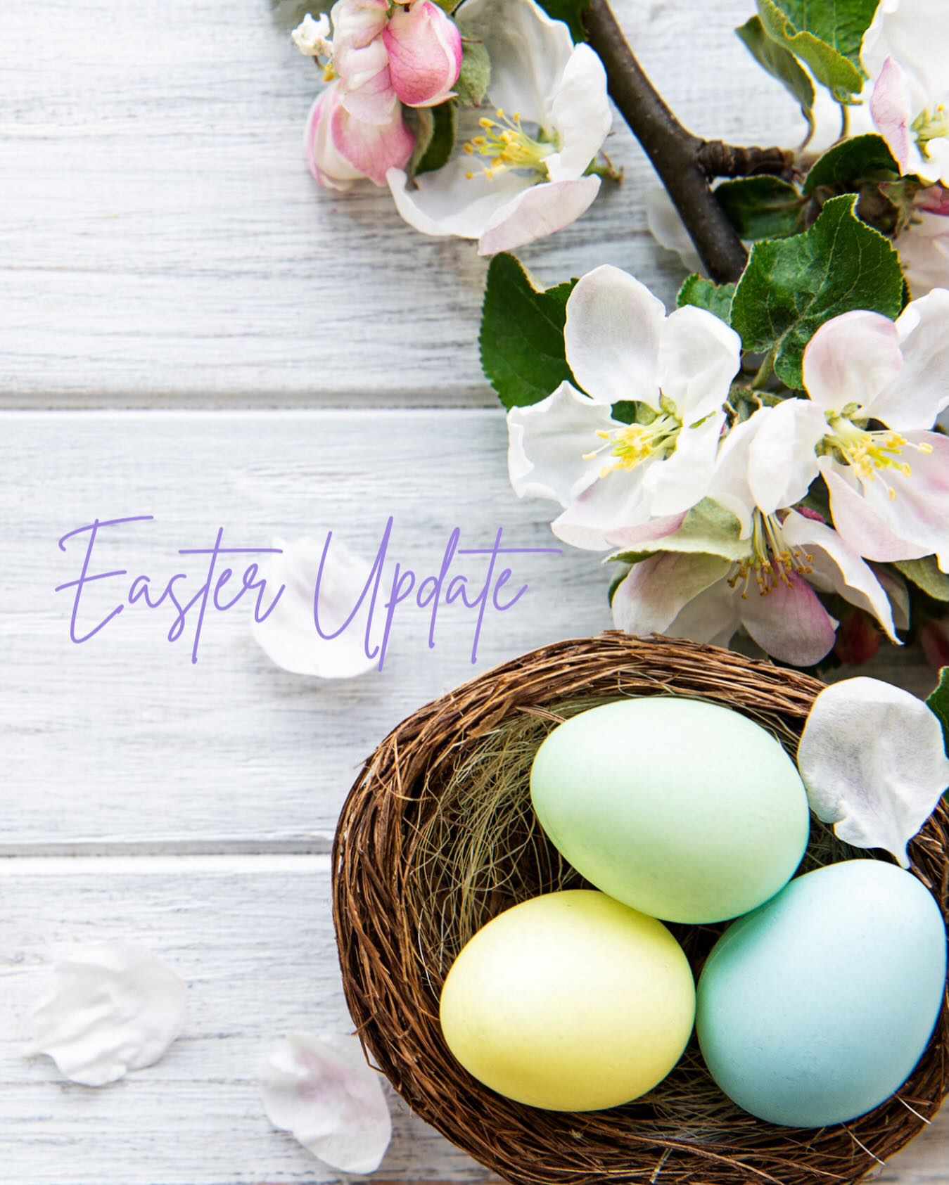 🐣 Easter Opening Hours & Class Updates 🐣
Here’s a quick update for the Easter period at All Active:
📅 Closed:
• Easter Saturday & Easter Monday
📅 Open:
• Limited classes and physio appointments available on Easter Tuesday with Ellen
💆♂️ Sports Massage Clinic:
• Open on Good Friday
• All other services will be closed that day
📚 Classes:
• Some classes will pause briefly over the next two weeks
• Others will continue as normal
👉 Please check your schedule on the booking app to confirm if your usual class is running.
👉 If your regular class isn’t available, you’re very welcome to join another class that suits you.
📩 Need help booking or unsure which class to choose? Just get in touch - we’re happy to help.
Wishing you a lovely and relaxing Easter break 🐰✨