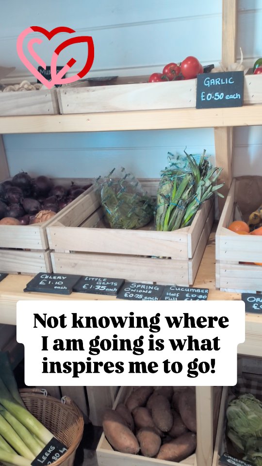 #getstarted
#lookaround
#adventure
#togetherwecan
#naturelovers
Lucy 🩷♥️