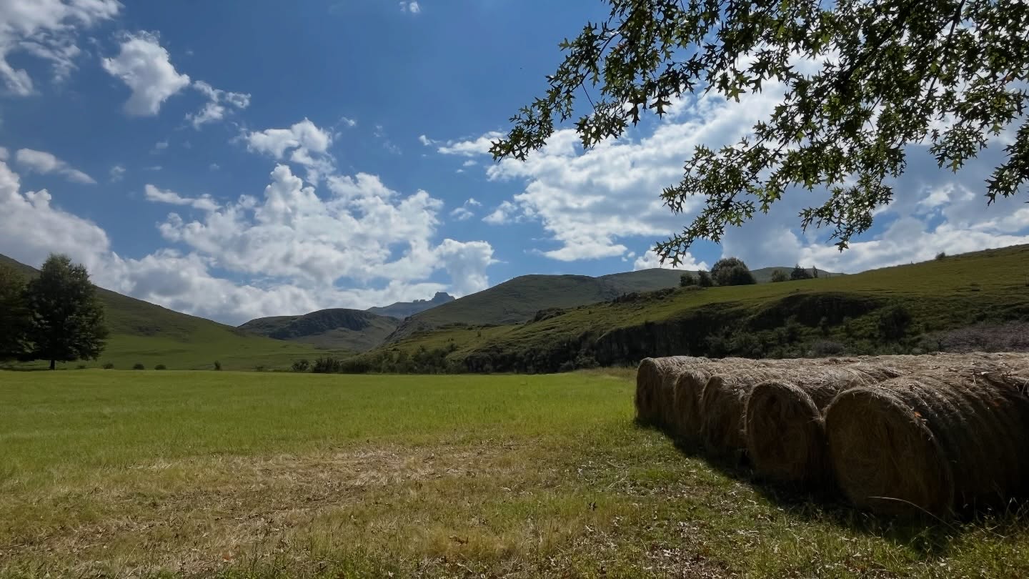You won’t expect me to sit in one place for too long, right? I left all the noise of the festival behind and took to the mountains to explore the area around the farm.
