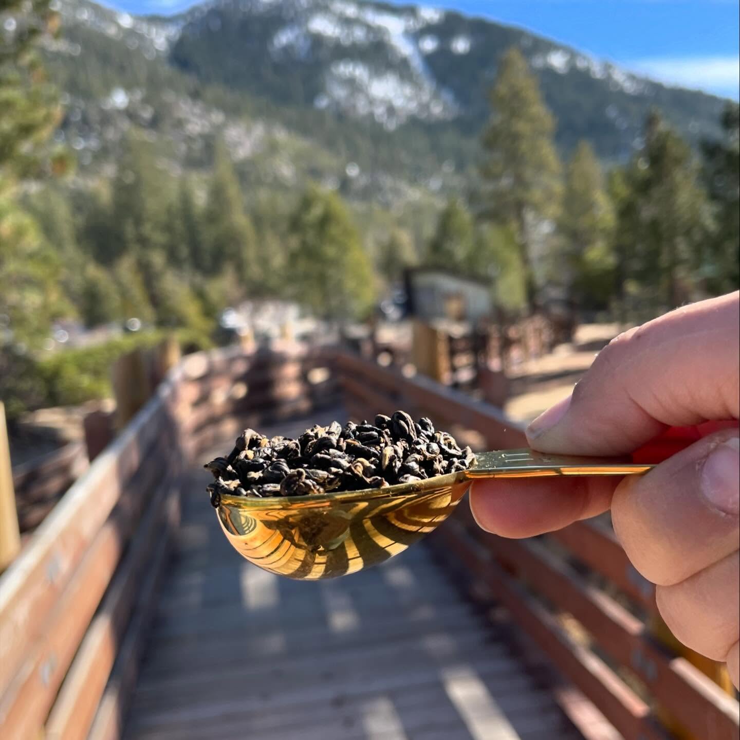 The perfect tea scoop is crafted from solid stainless steel with a luxe gold finish, this 1-tablespoon scoop is engineered for precision and durability.
#teaaccessories #loosetea #tea #looseleaftea