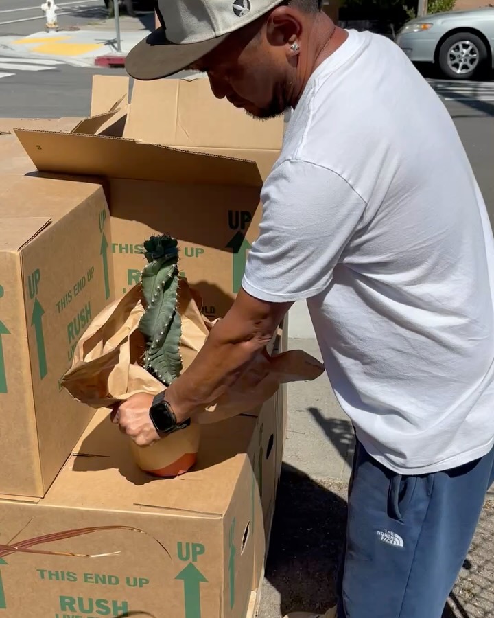 Jinpa at the Dry Garden Nursery opening a shipment of Spiral Cactus in 4”, 6” and 8” pots ! Available now and we have a 20% Off Sale going on for another week or so.