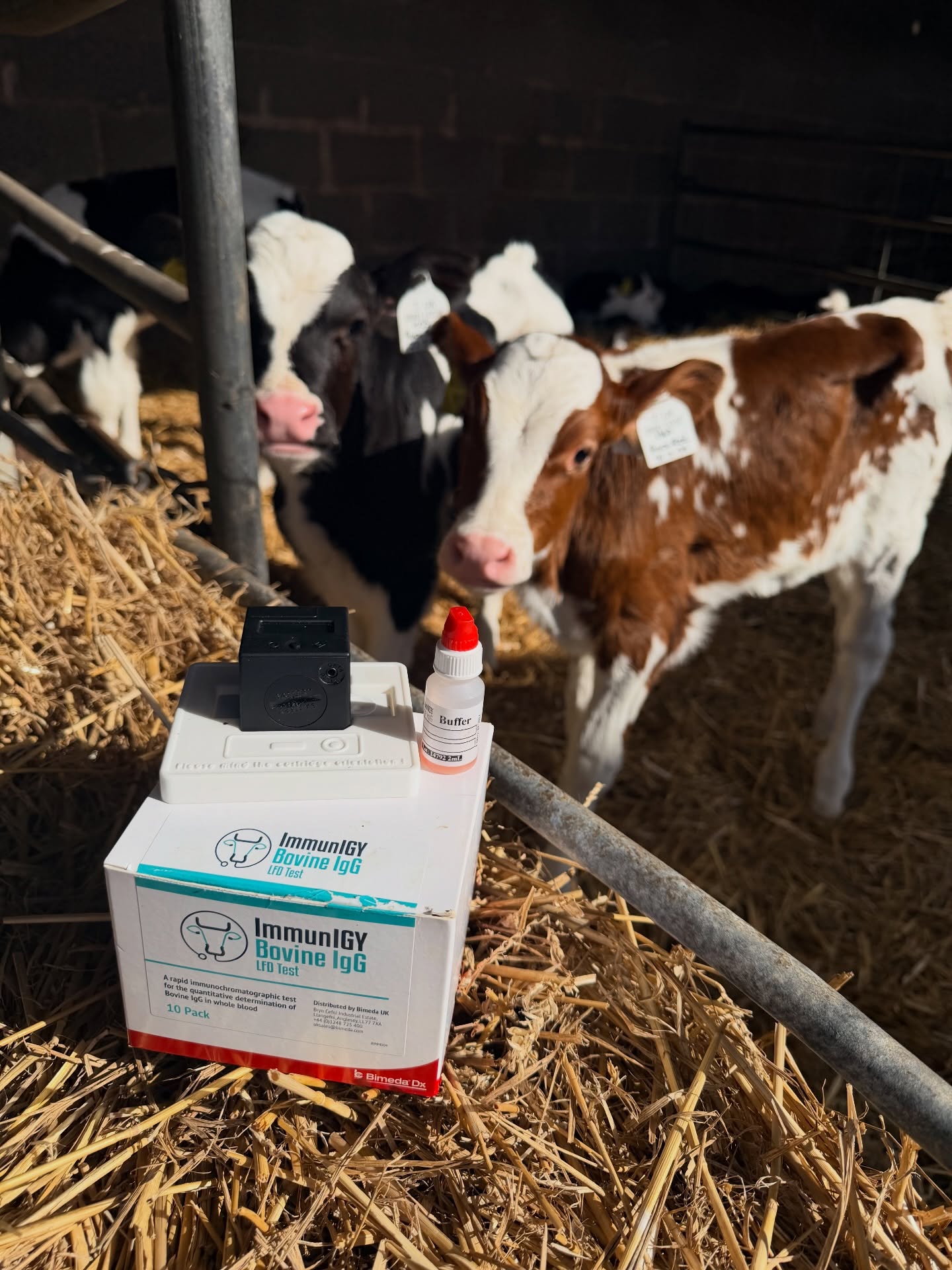 Are you sure your calves have received adequate colostrum? With our ImmunIGY IgG test you can be! 🐄
Carried out on farm, with results in 10 minutes. Suitable for dairy and beef herds alike and as the test can be used on calves up to 42 days old, calf rearers can make use of this too!
Calves left to suck from their dams are 2.4x more likely to not receive adequate colostrum, risking disease susceptibility, poor gut health and reduced growth. Don’t be caught out!